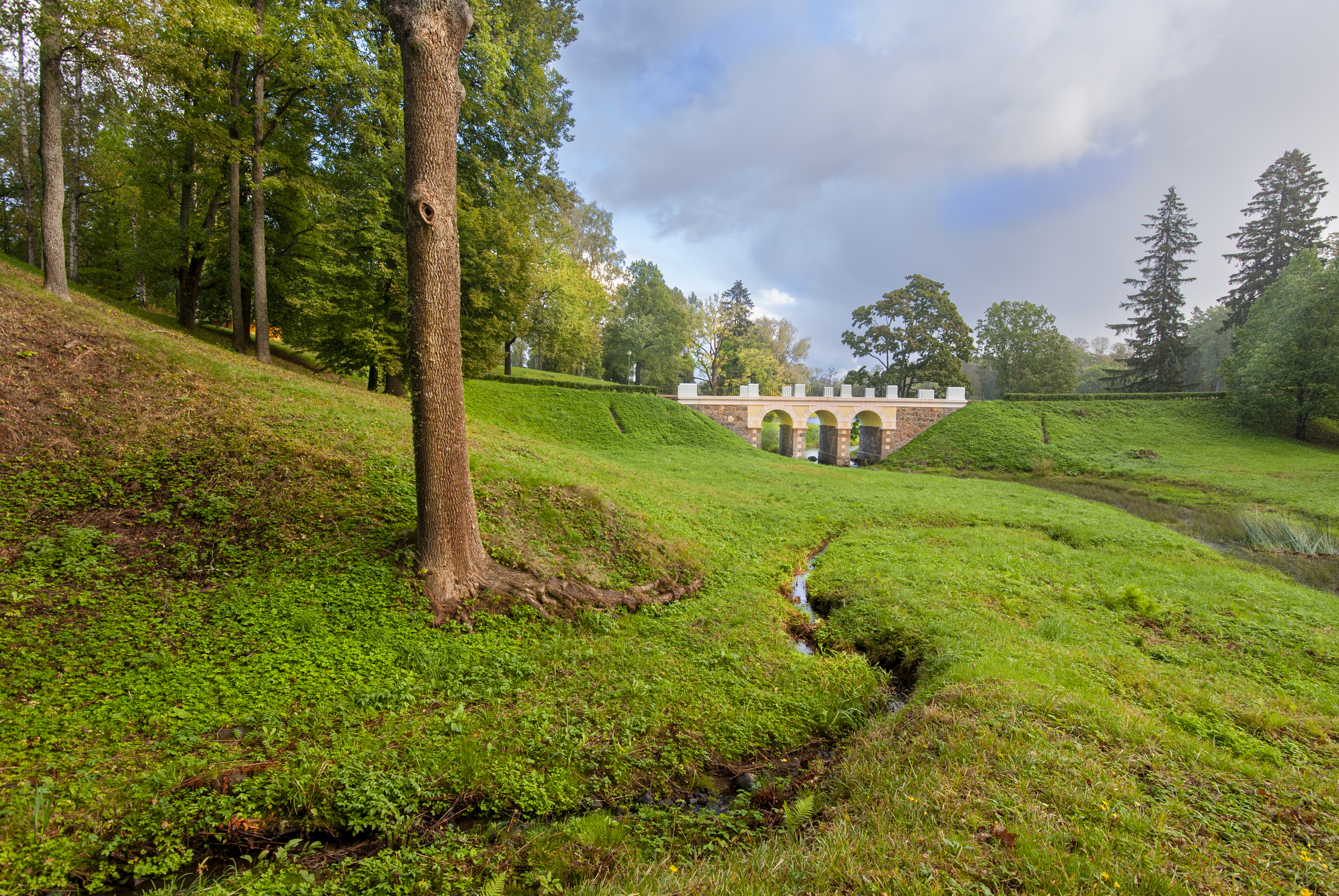 , Георгий Сапожников