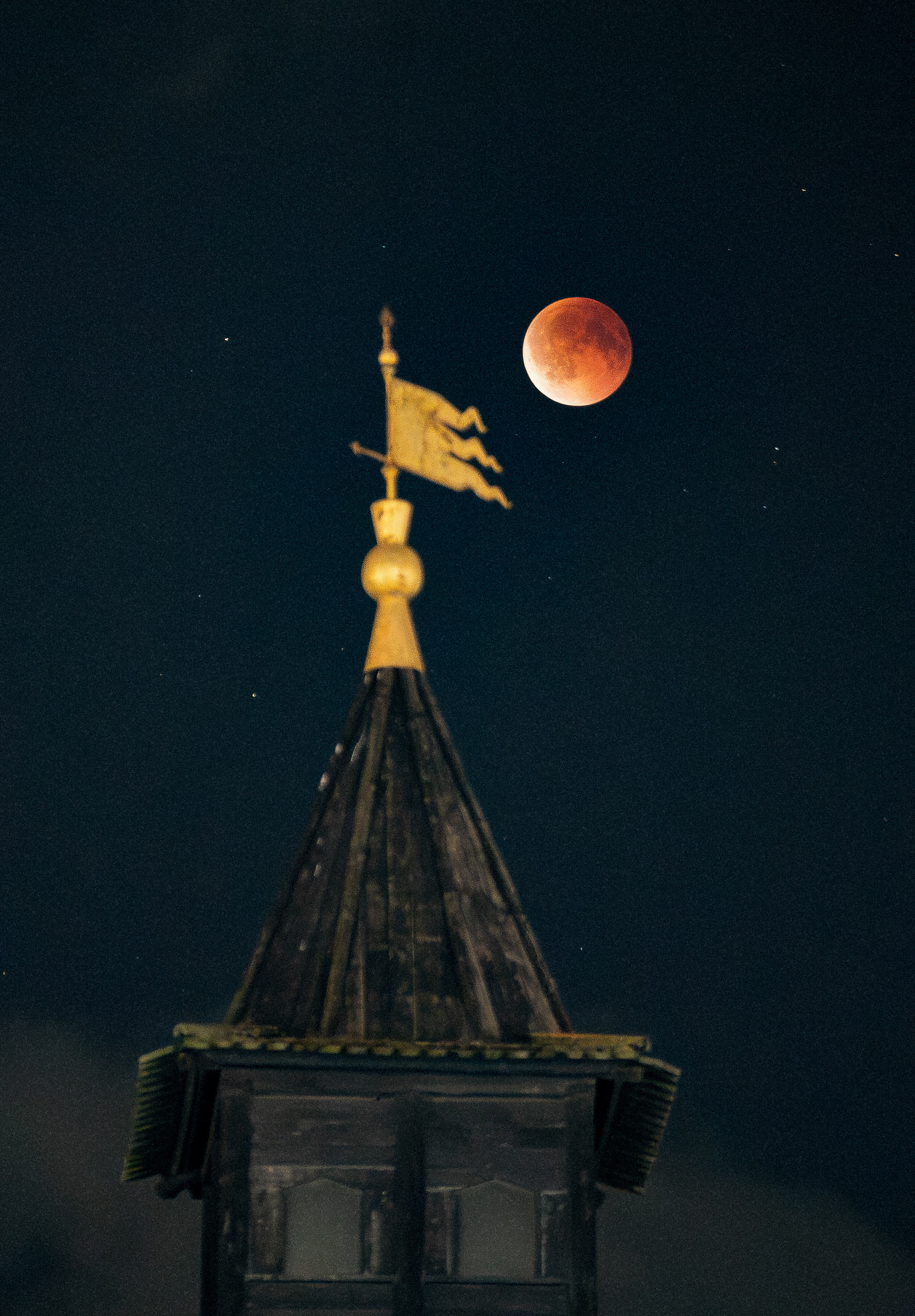 , Алексей Горохов