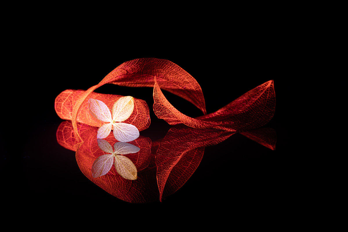 close-up, Копцев Игорь