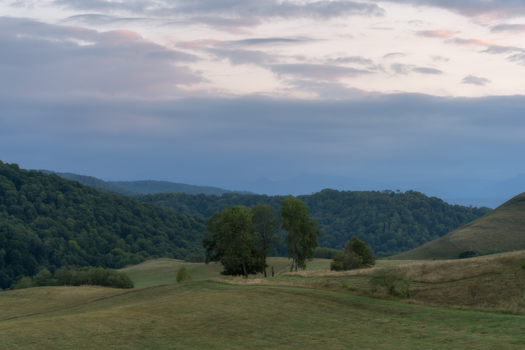 , Юлия Мальцева