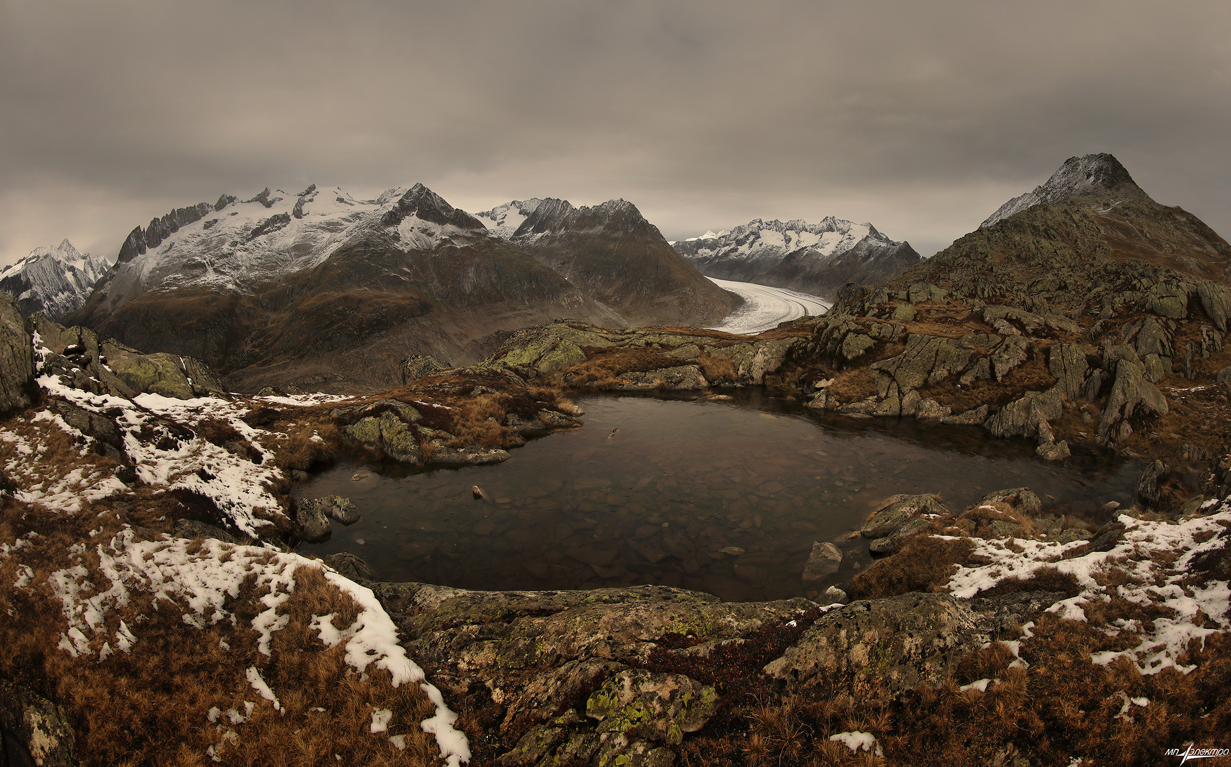 swiss, Матвеев Николай