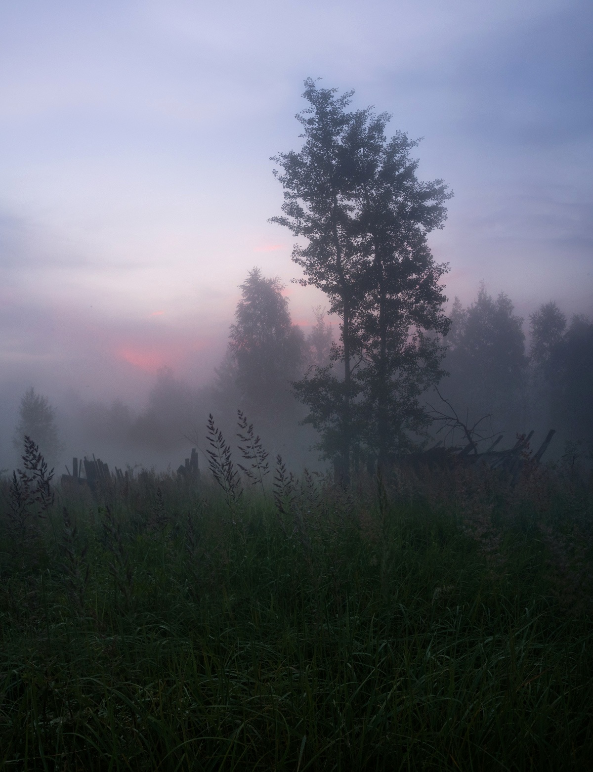 туман, свет, вечер, природа, Баранов Олег