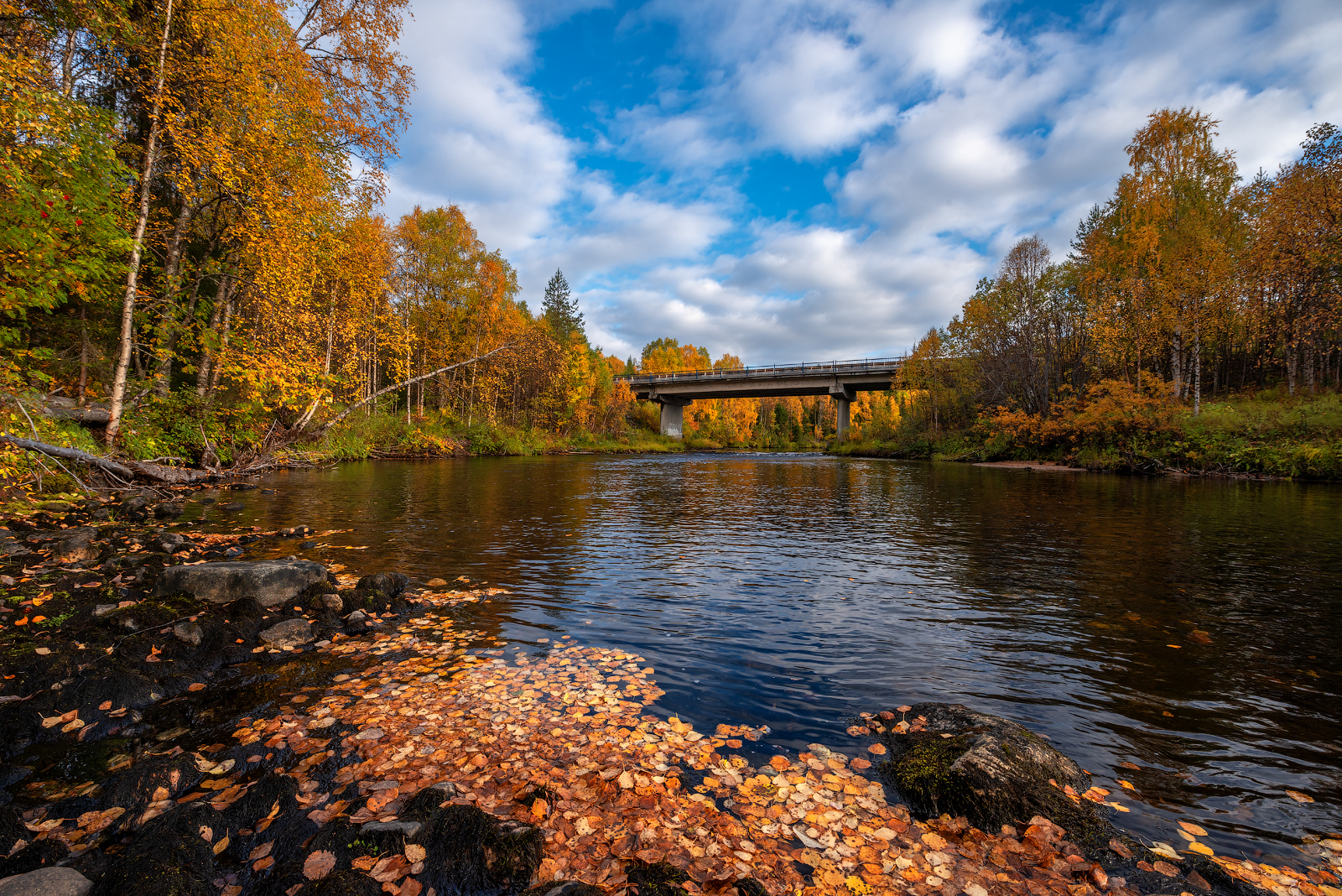север, кольский, заполярье,, Роман Горячий