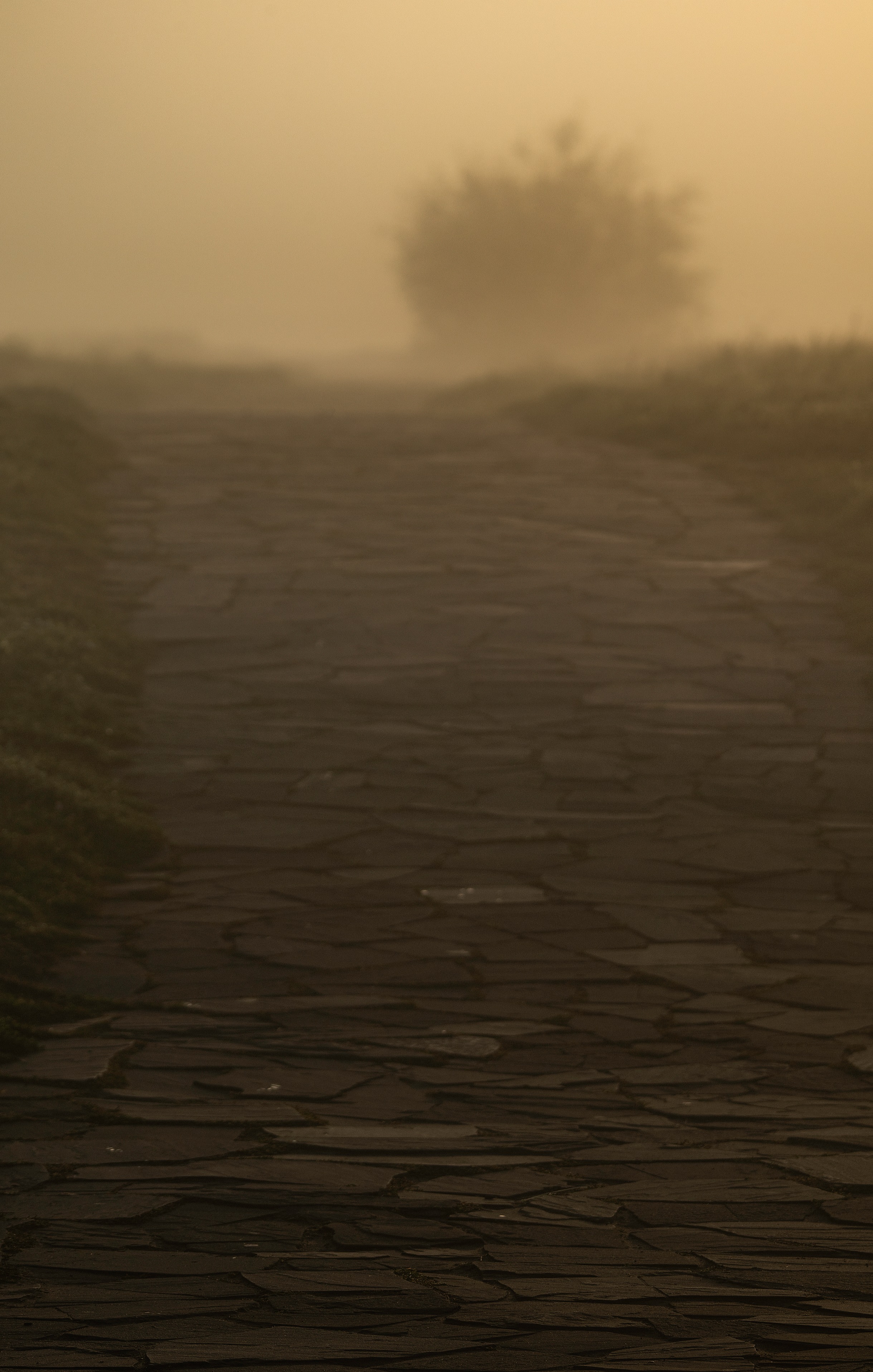 , Ширгин Сергей