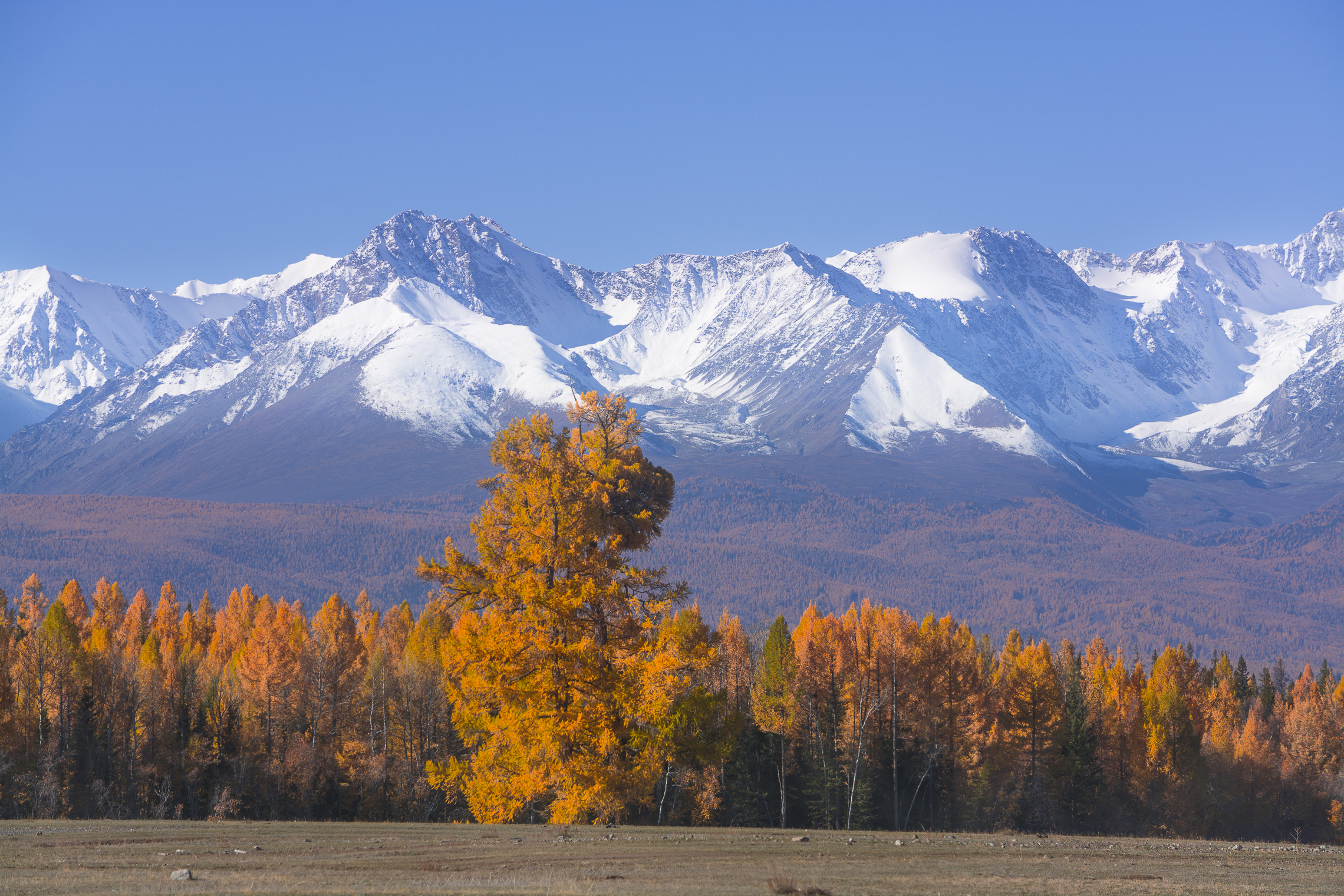 россия, горный алтай, осень, Андрей Поляков