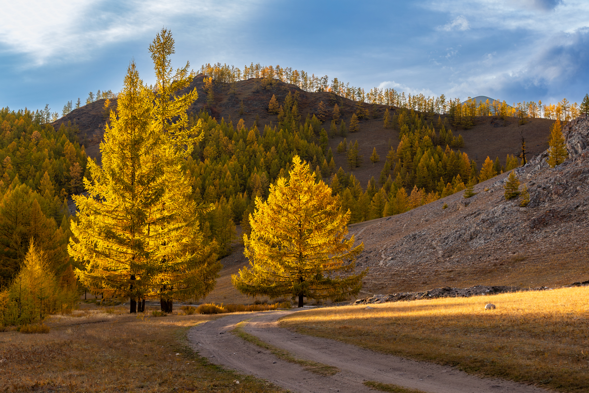 , Буянов Илья