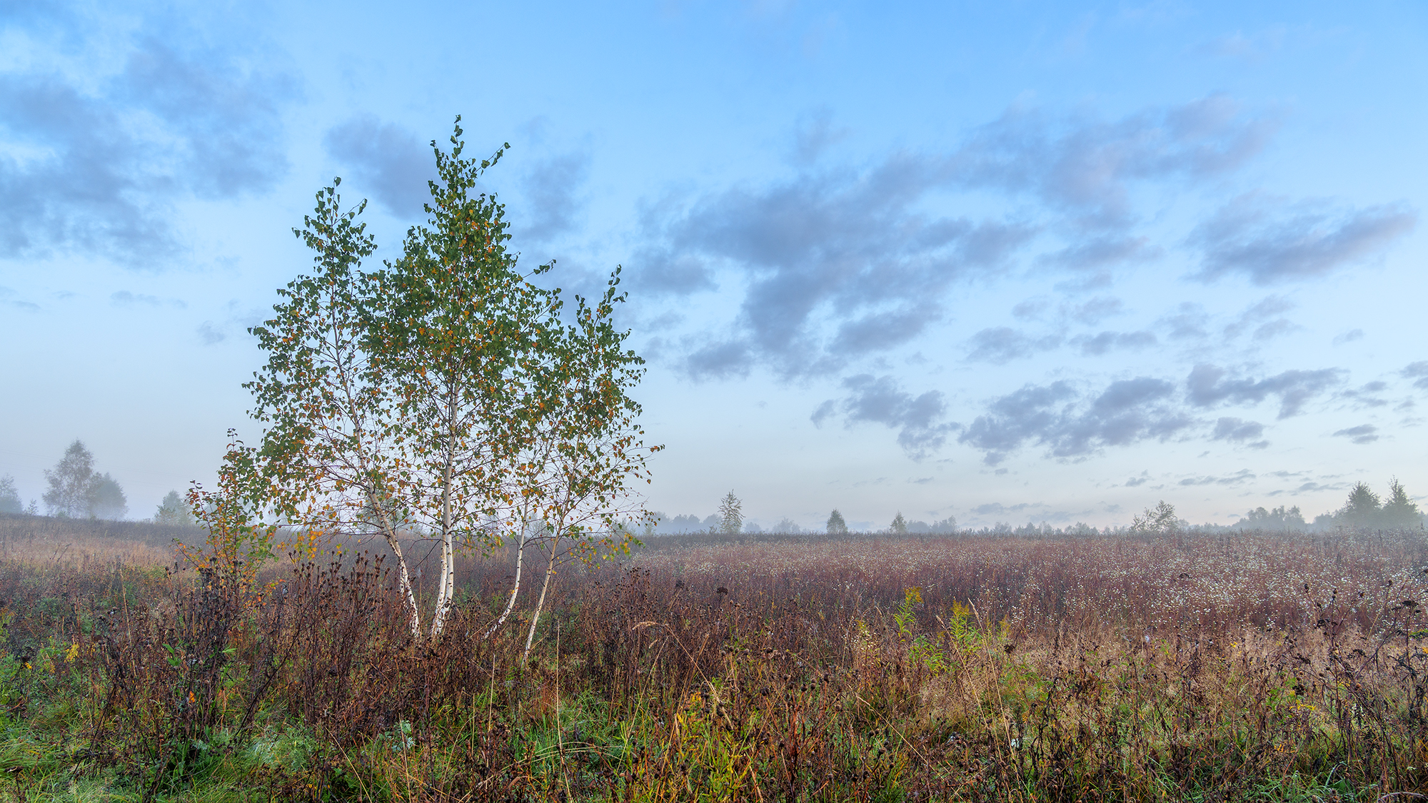 , Андреев Николай