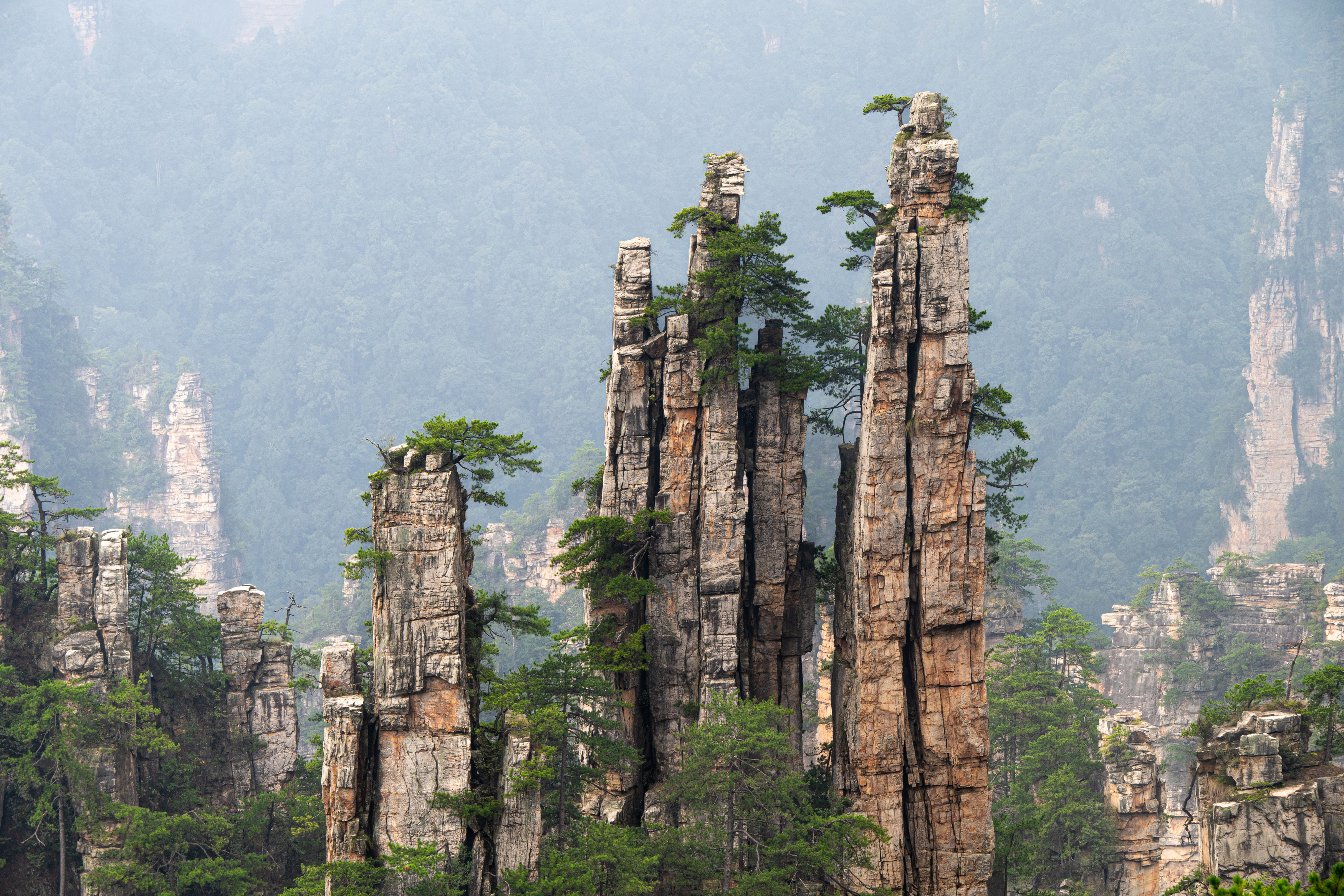 Китай, Сулоев Алексей