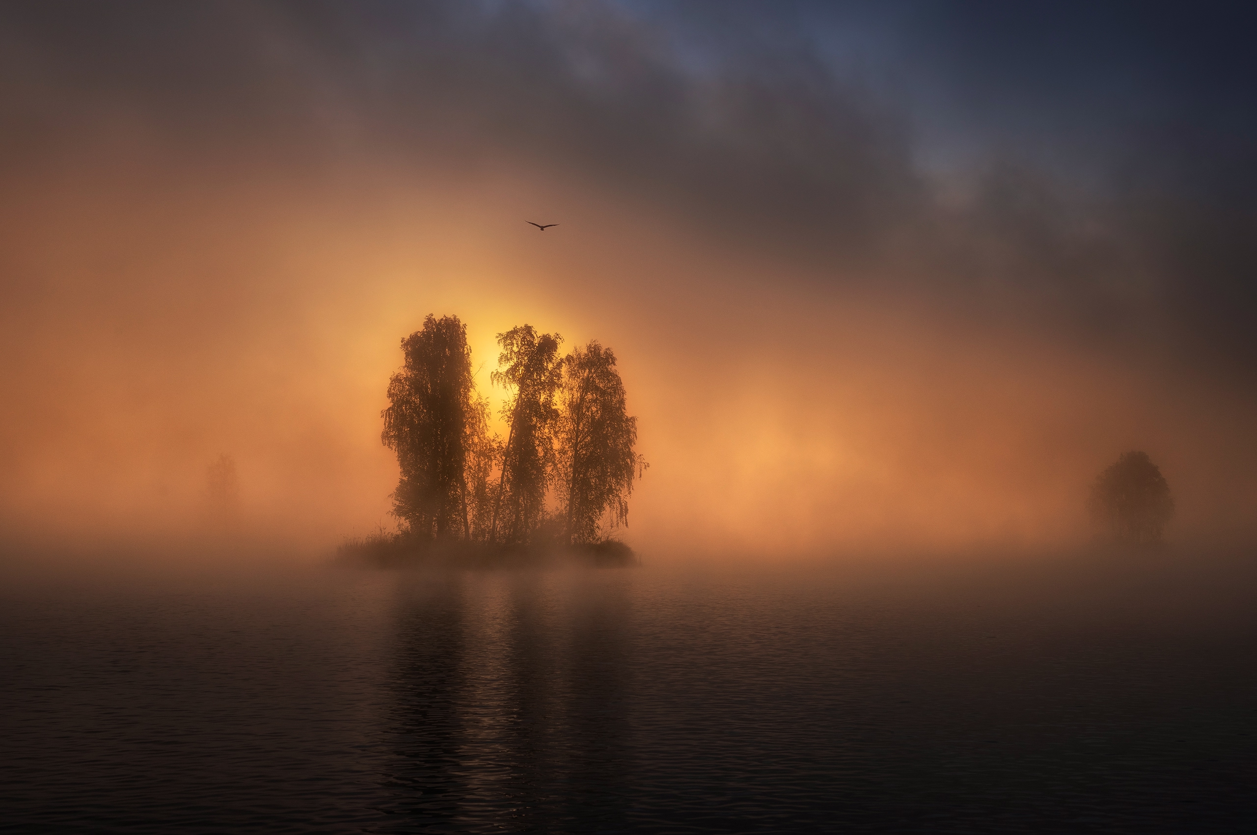 , Татьяна Бирюкова