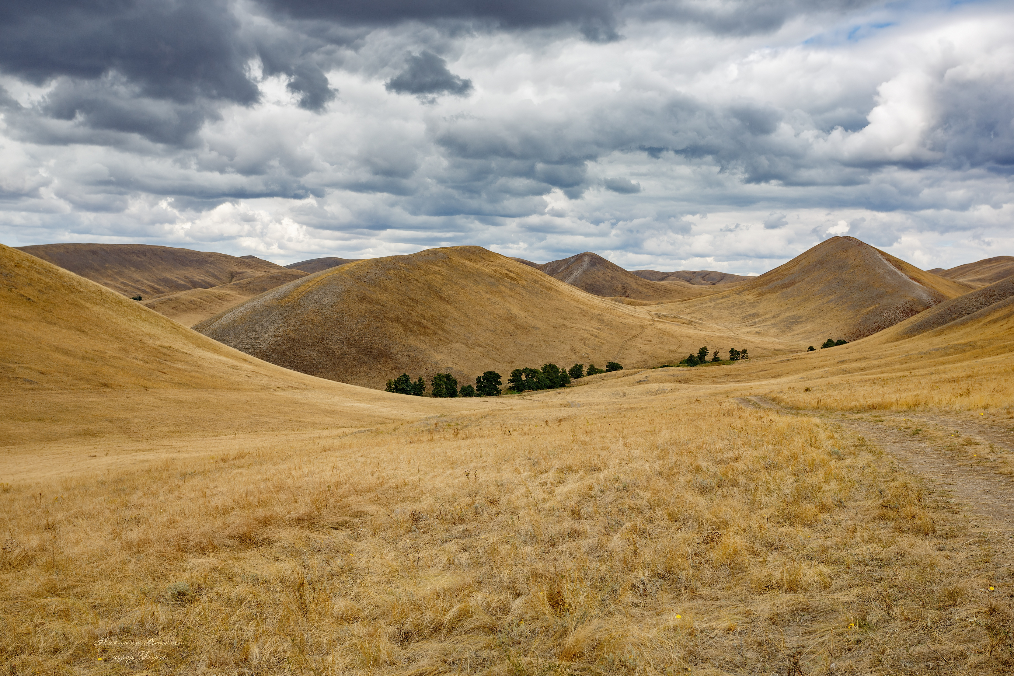 , Никитин Алексей