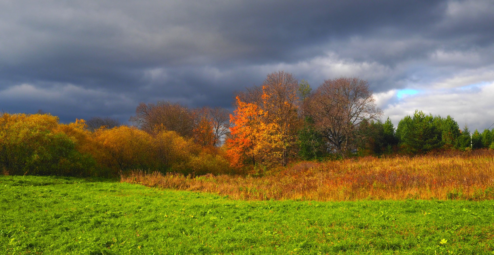 осень, ANDREY PERESHEIN