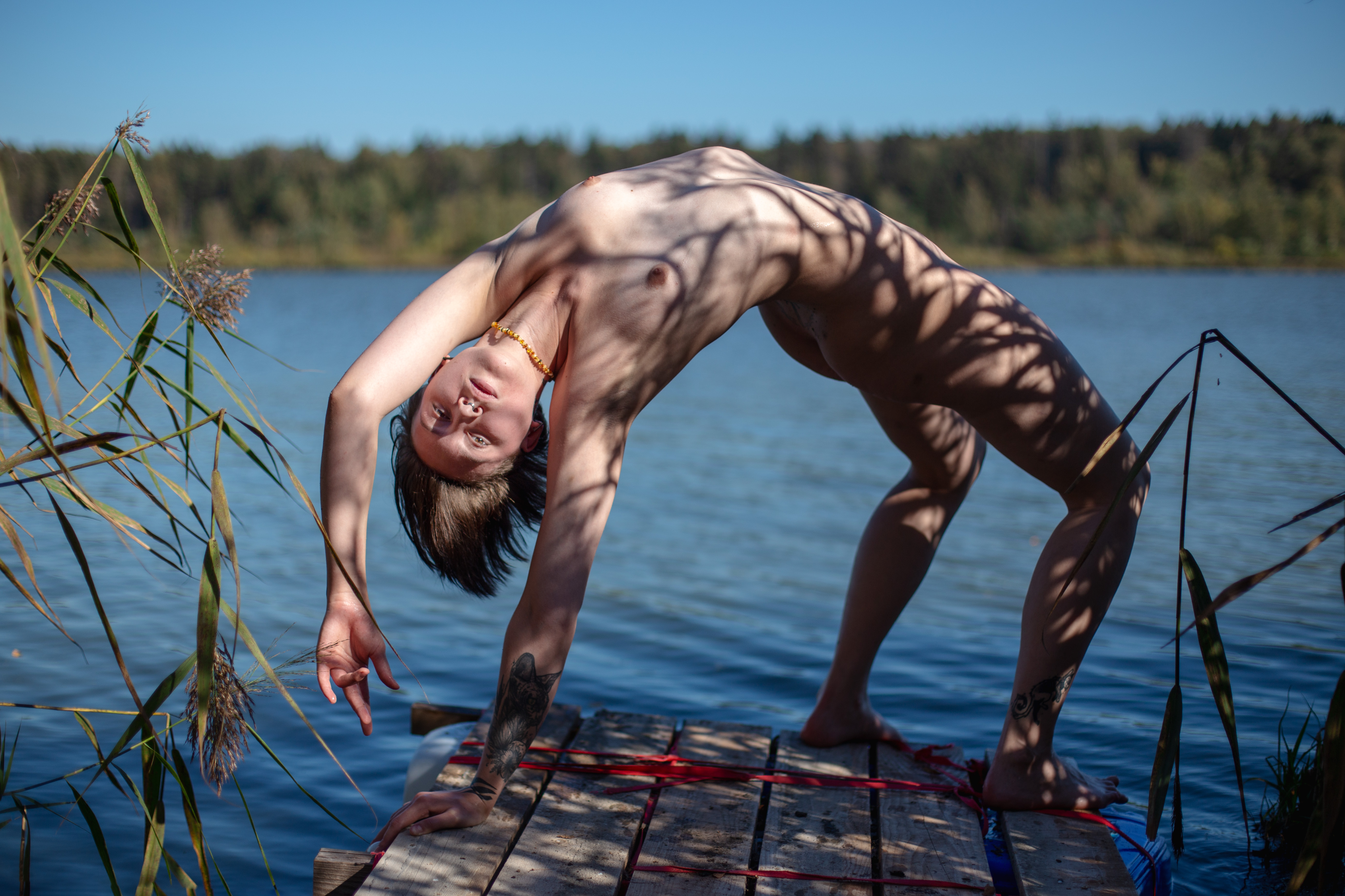 , Плеханов Дмитрий