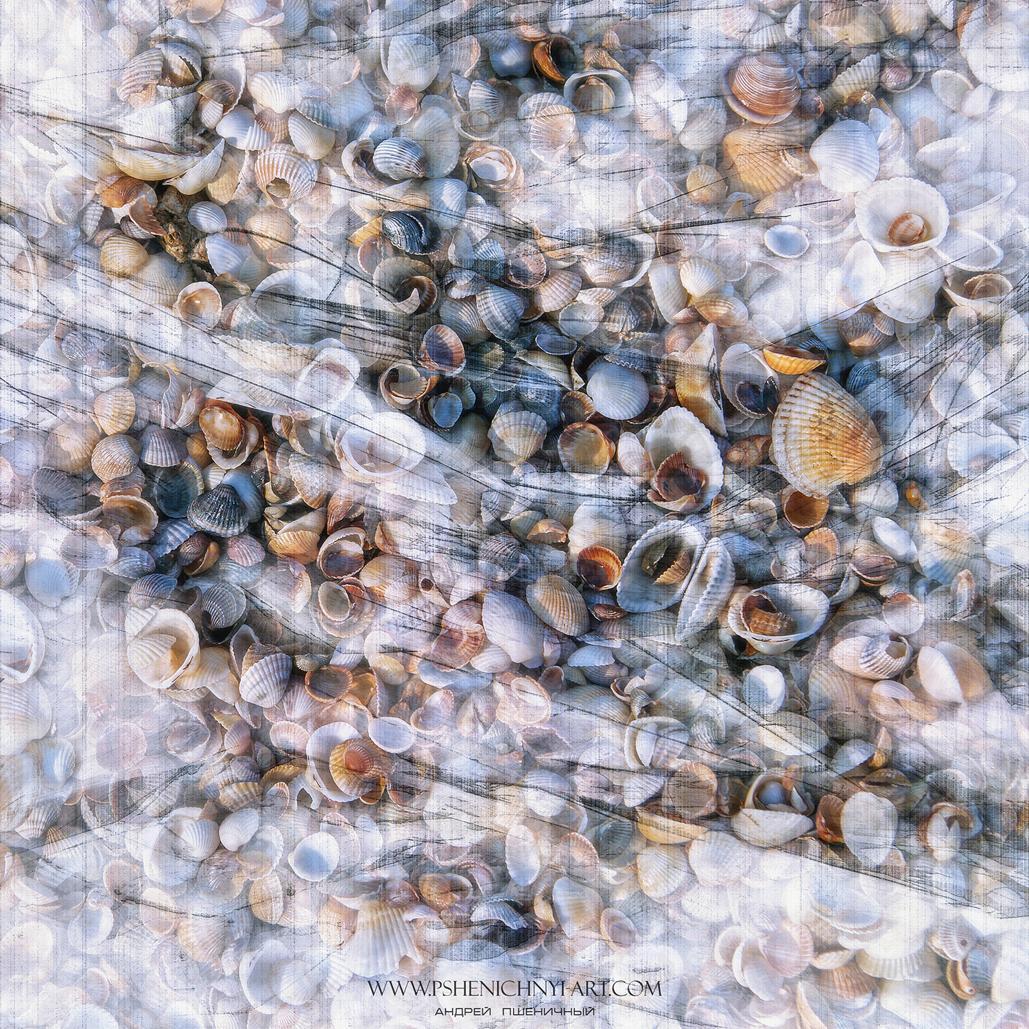 ракушки, волна, лето, море, абстракция, минимализм, Пшеничный Андрей