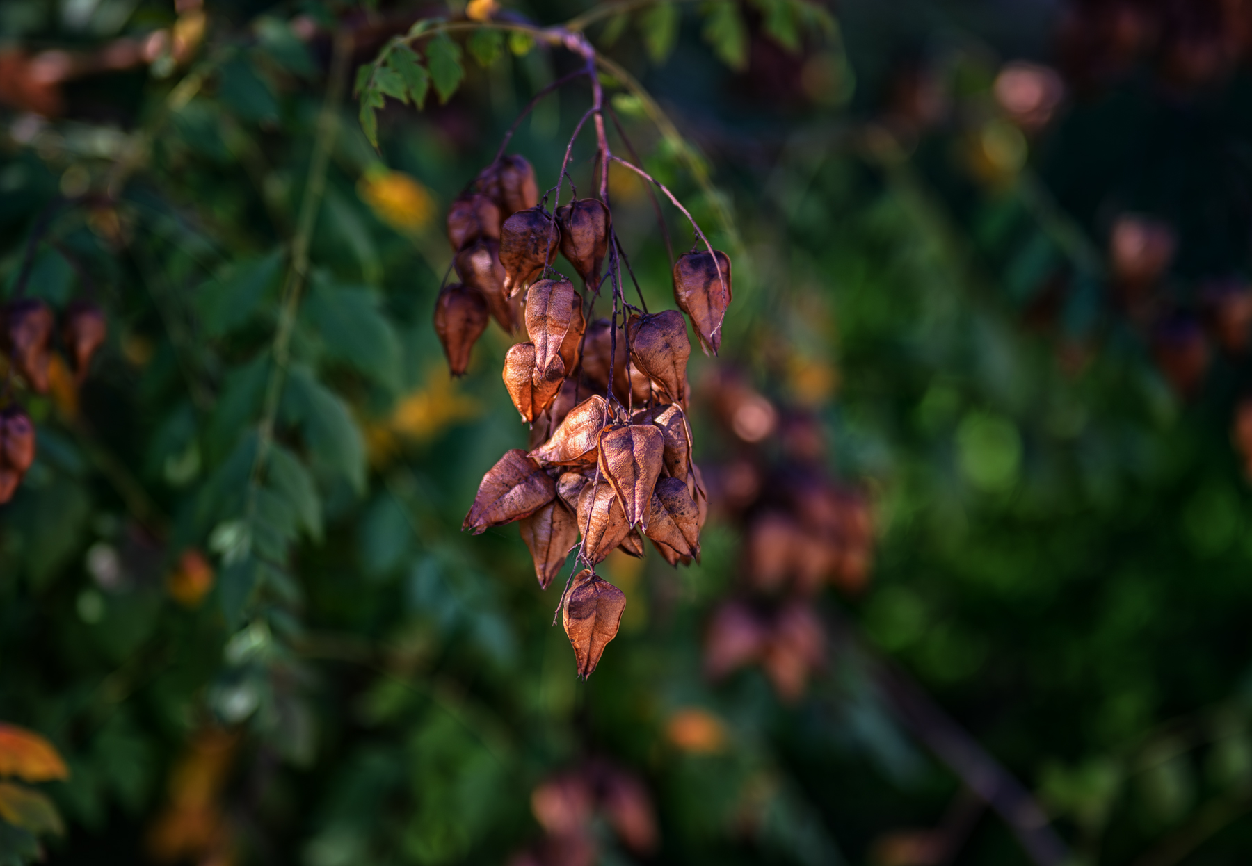 , Владимир Гамаюнов