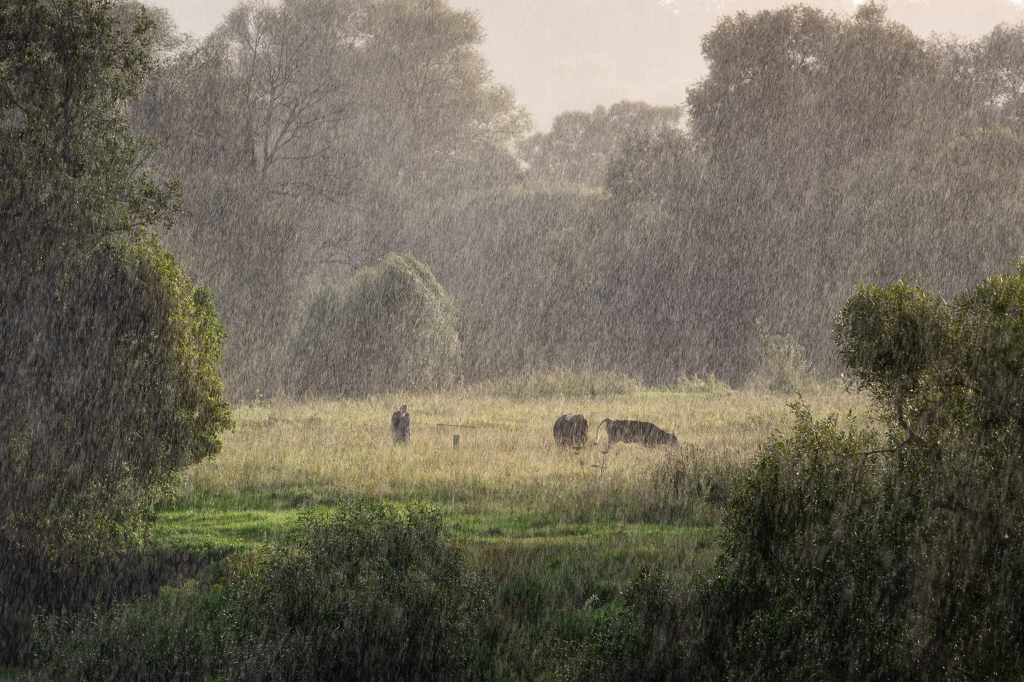 , Загруев Михаил