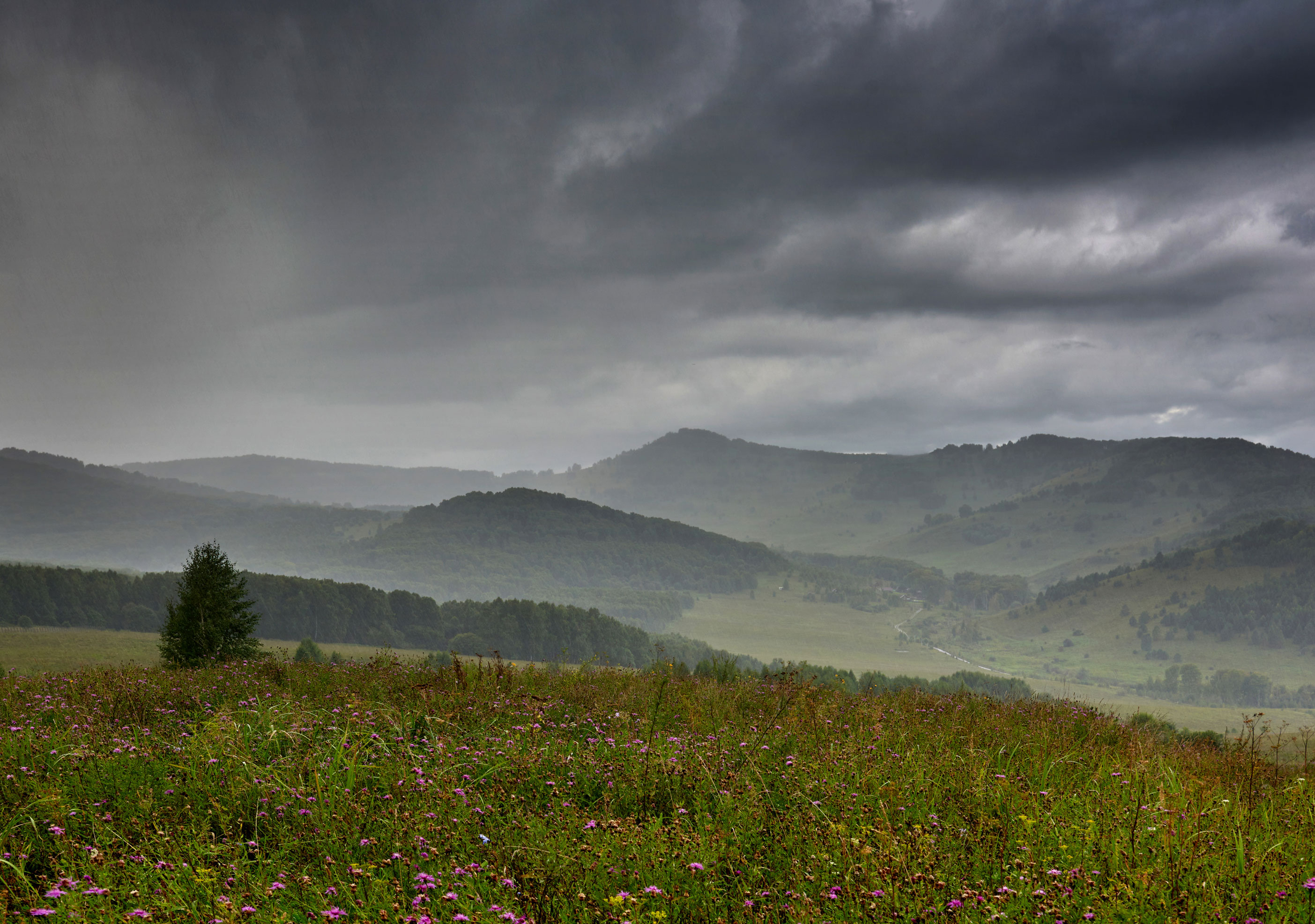 , Сергей Романчук