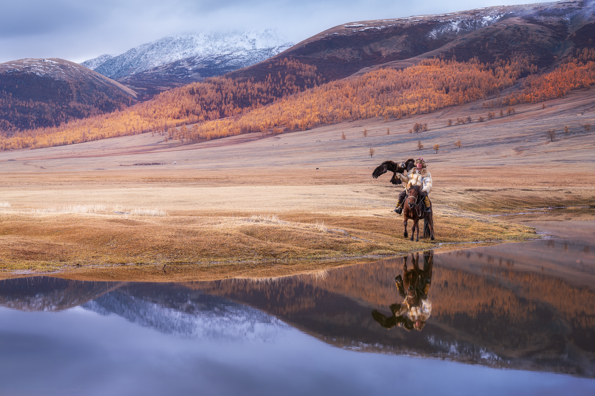 , Антон Агарков