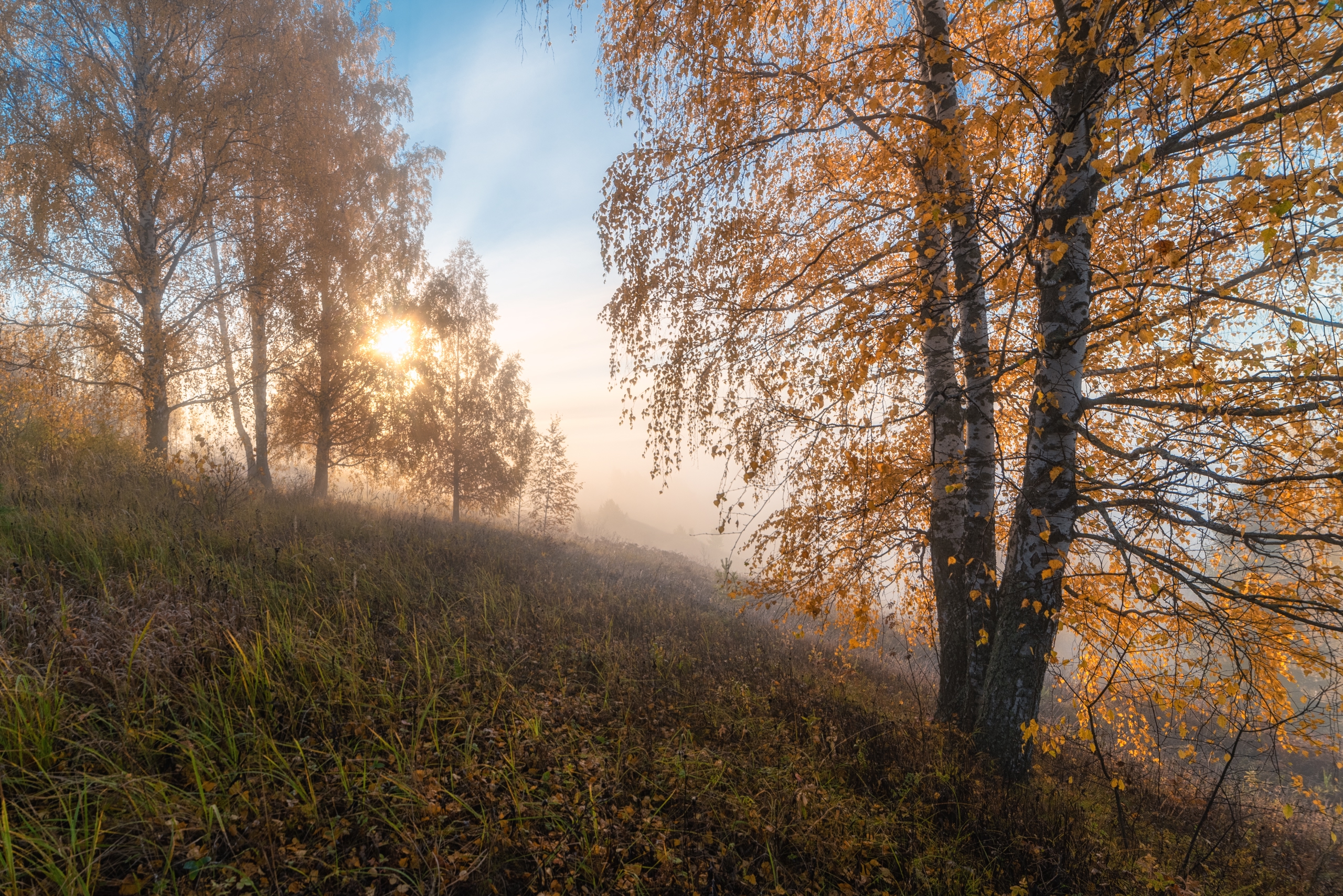 , Андрей Малыгин