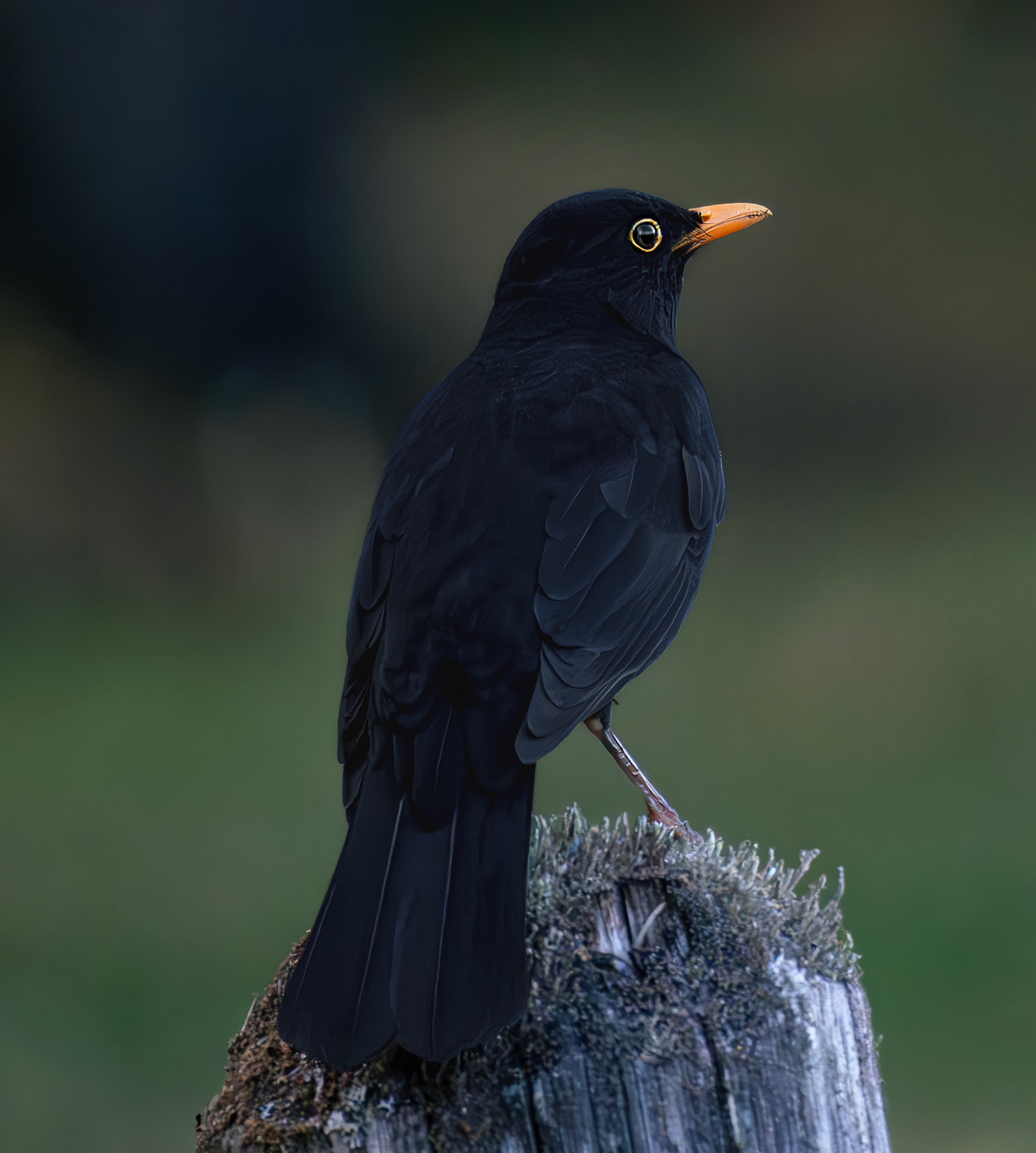 , Ворожцова Марина