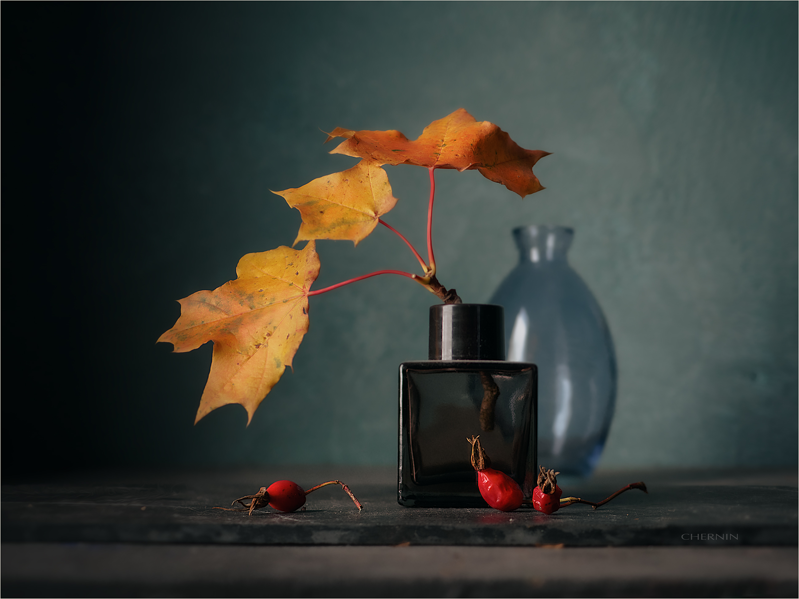 , Чернин Дмитрий