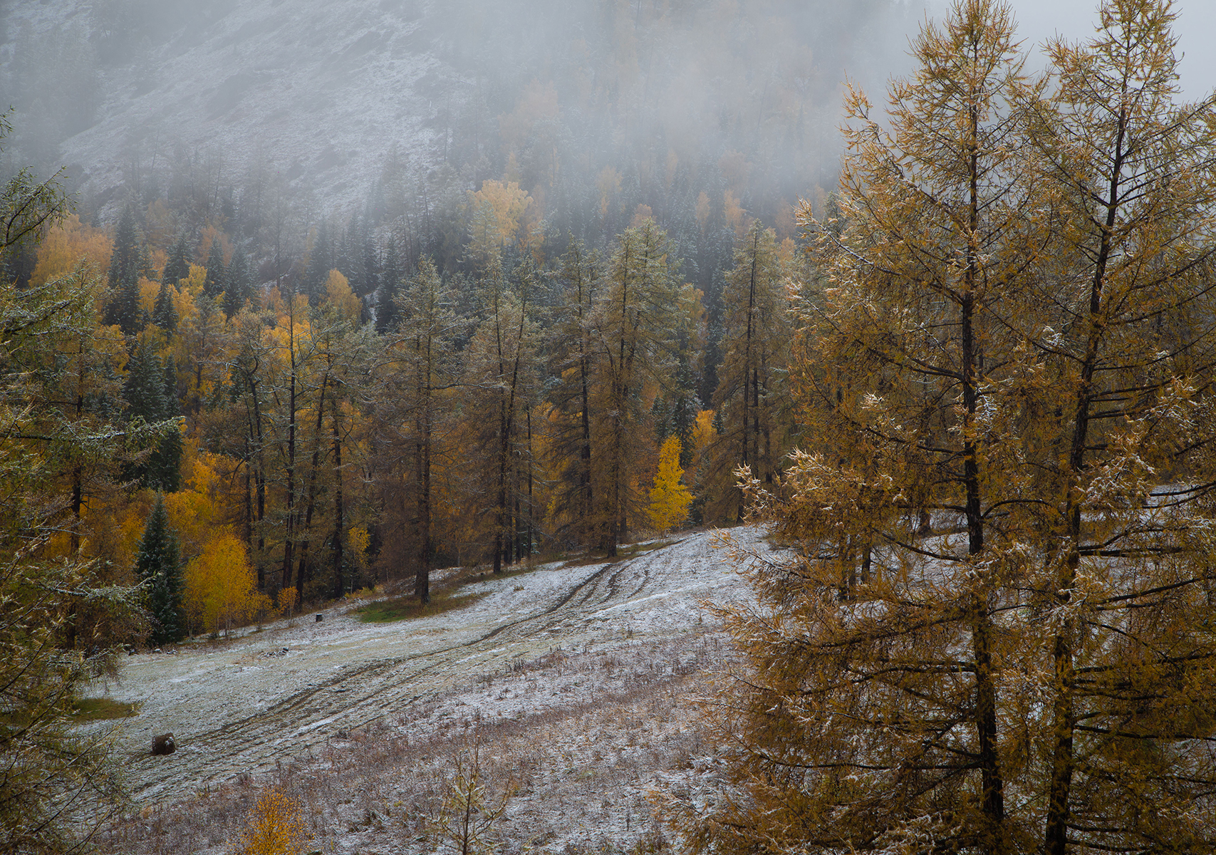 , Евгений Зинов