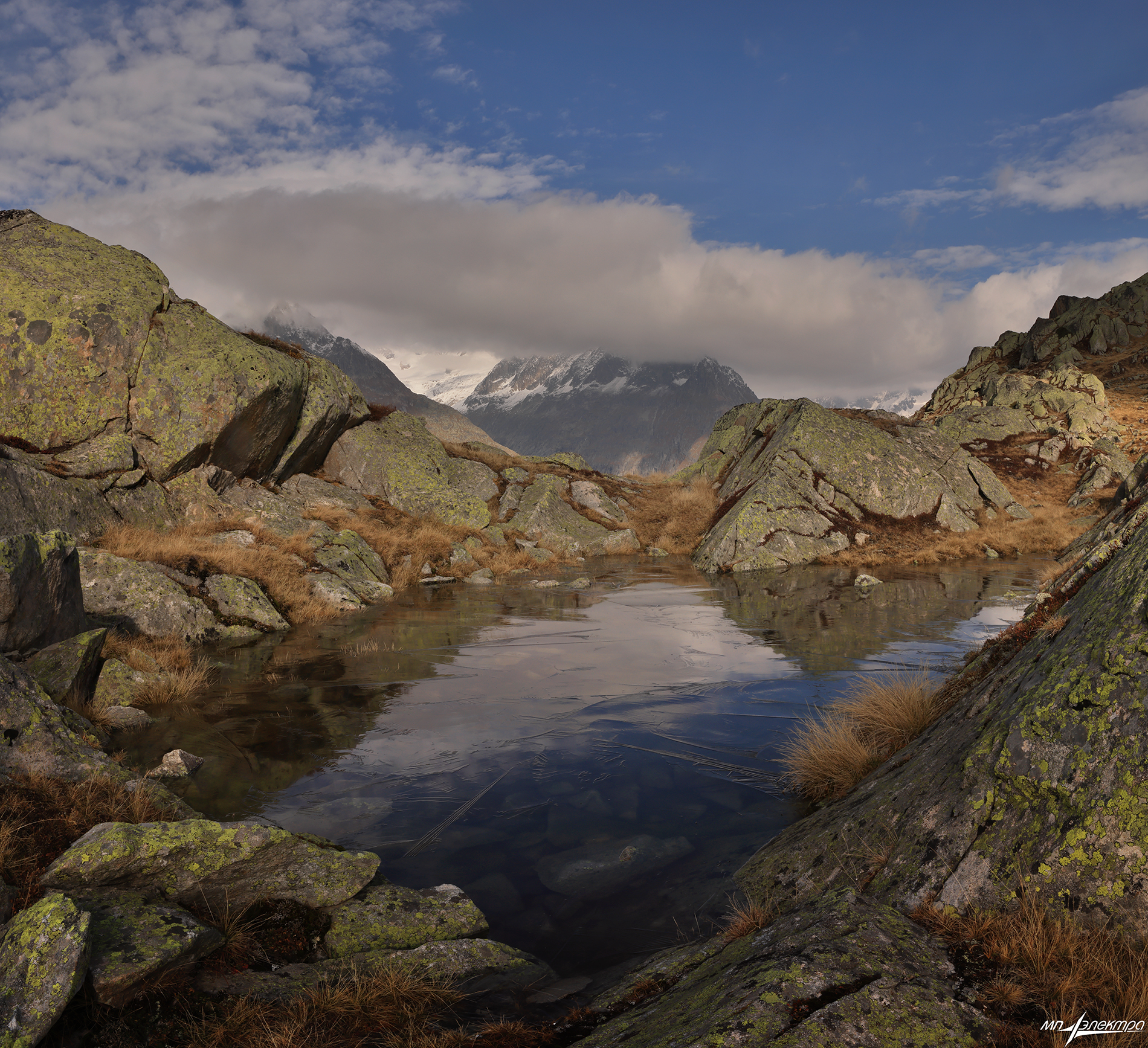 swiss, Матвеев Николай