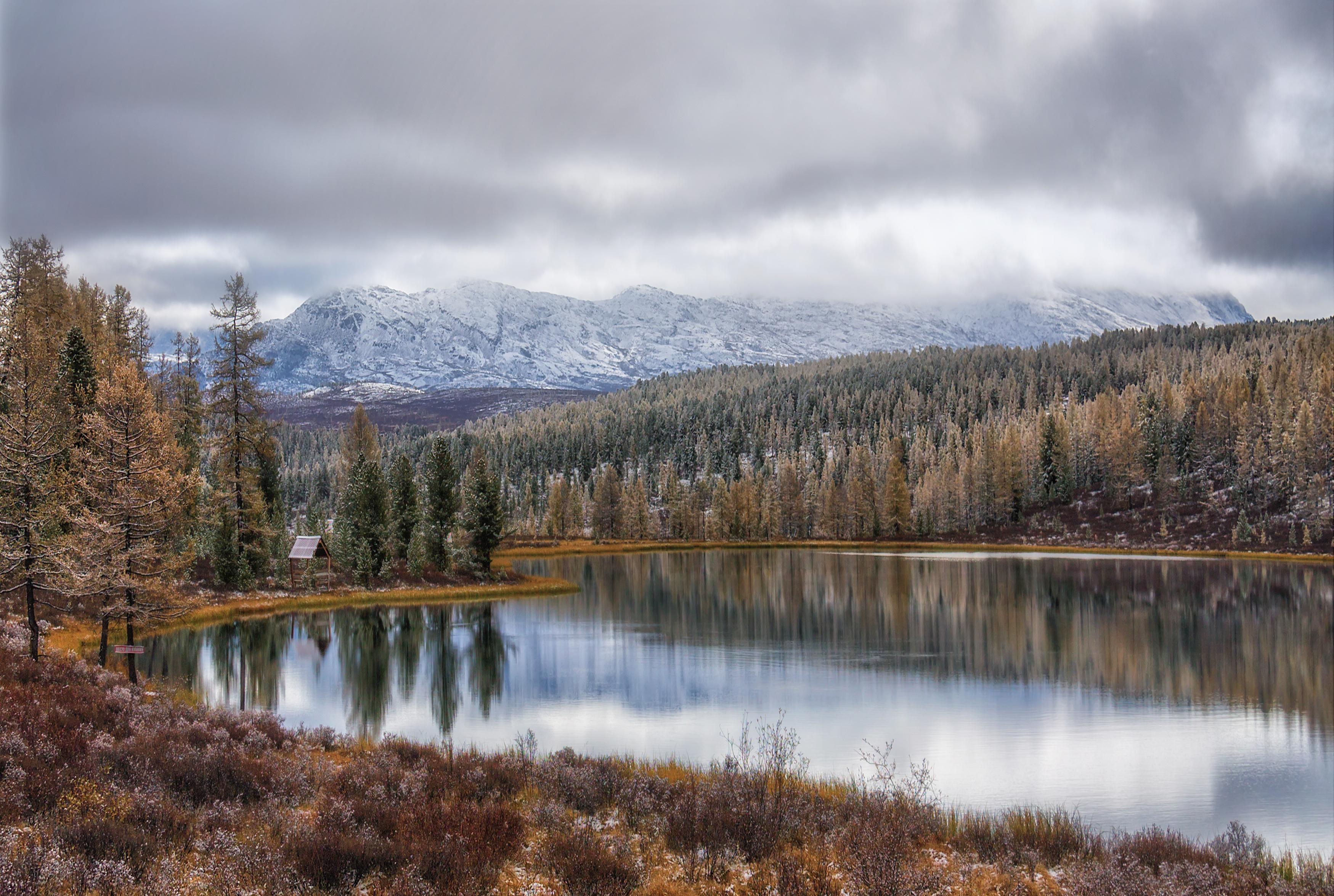 , Юдинских Марина