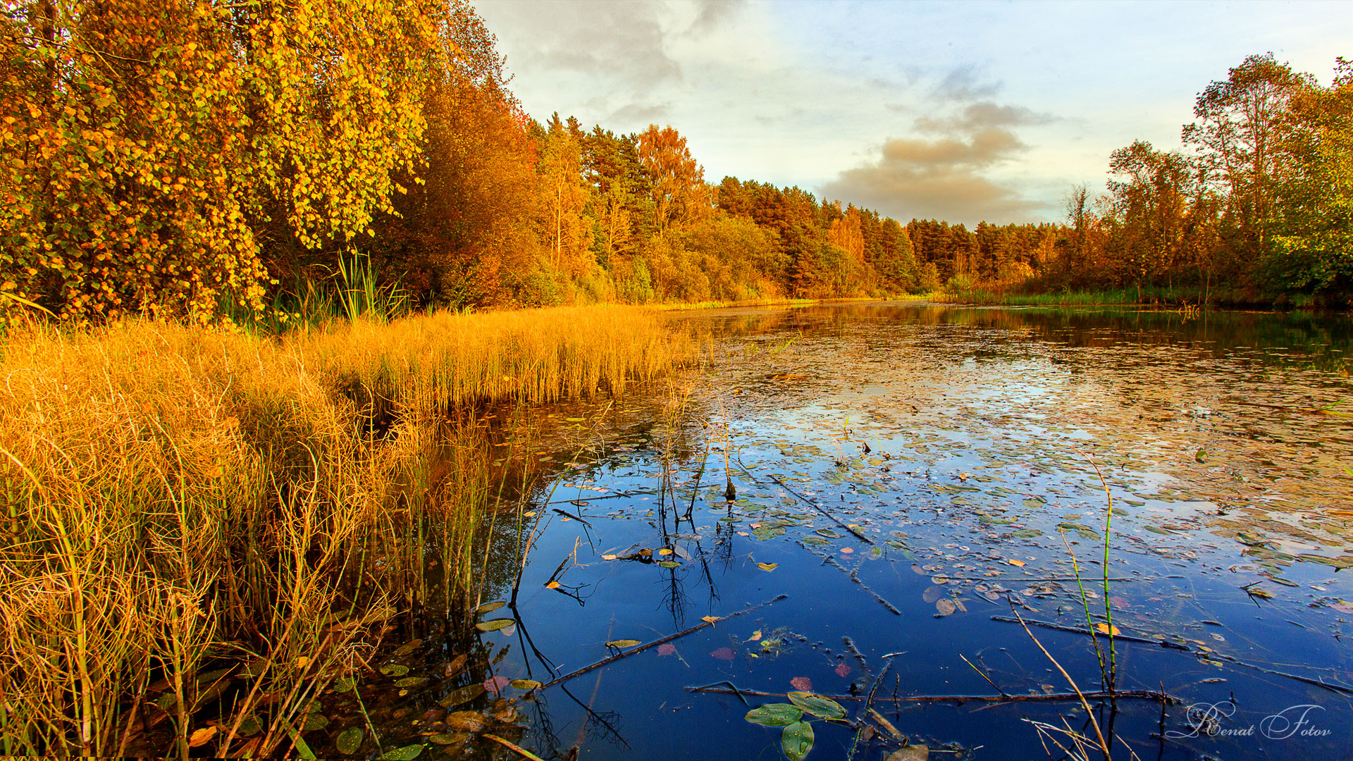 , Фотов Ренат