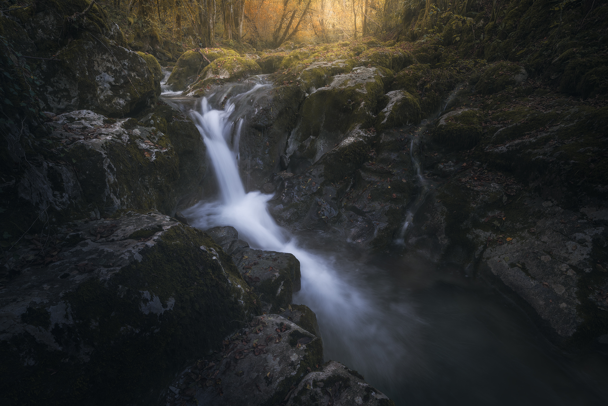 , de Franzoni Thomas