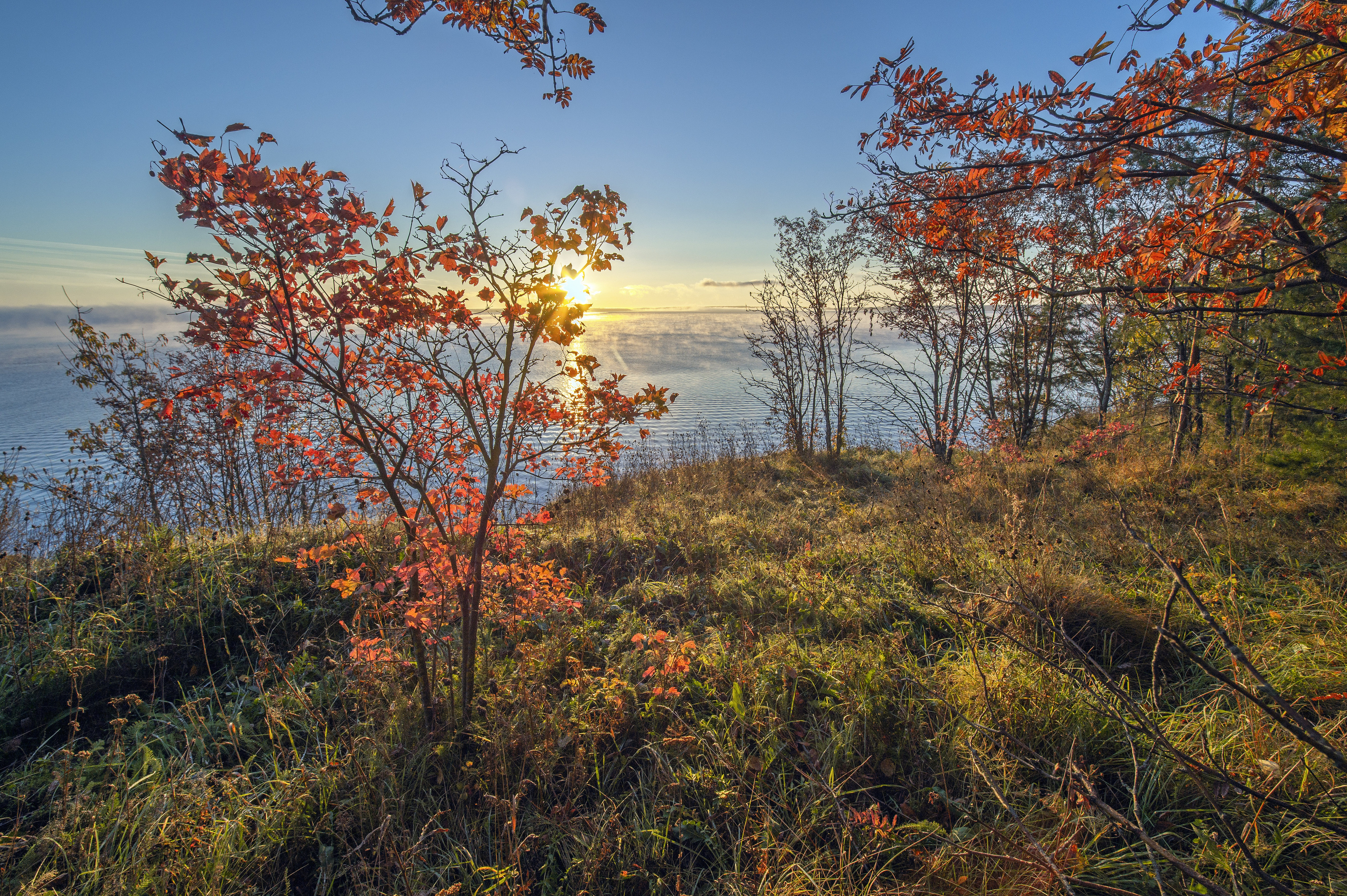 , Шитов Александр