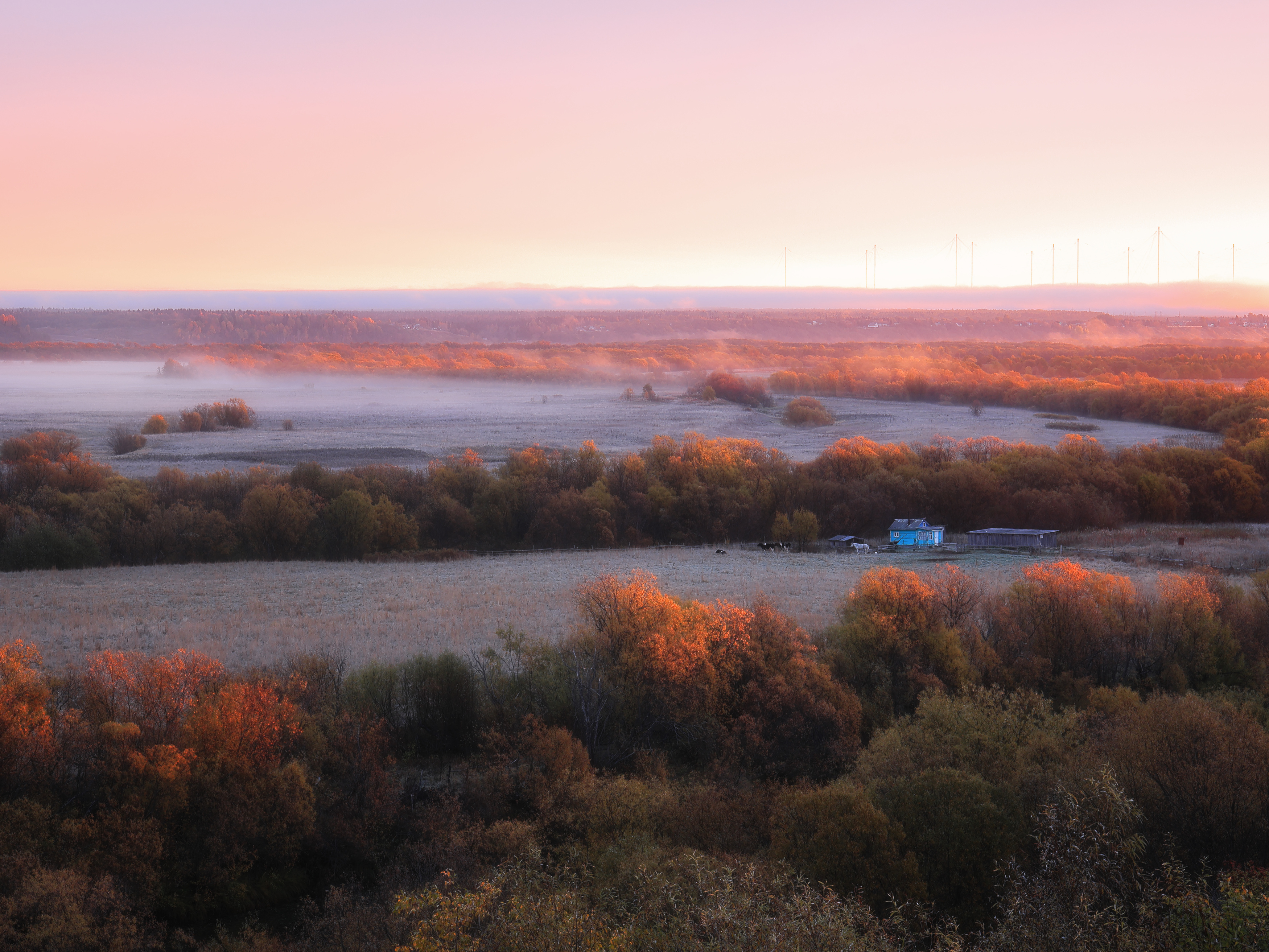 , Александр Титов