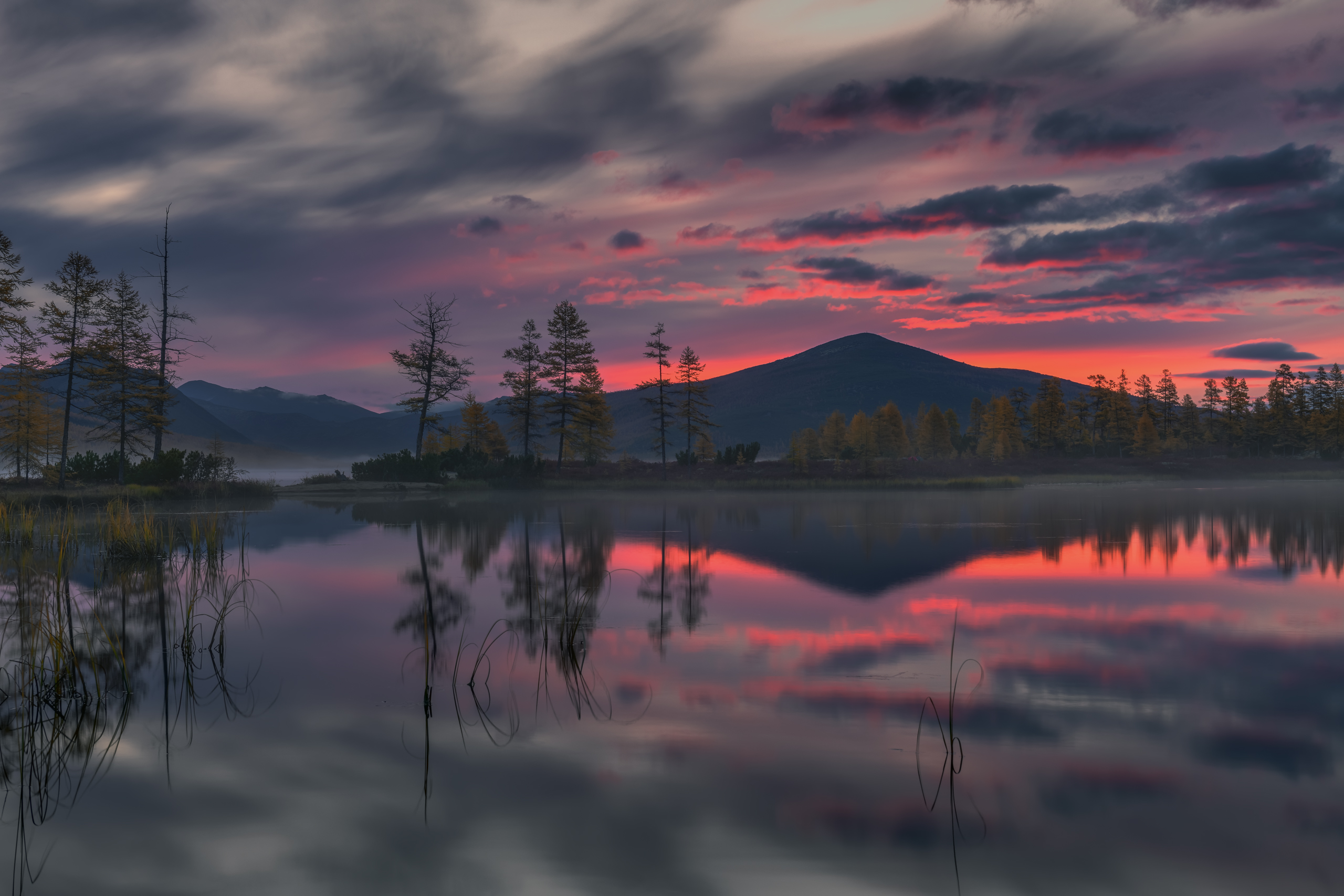 озеро джека лондона, Евдокимов Максим