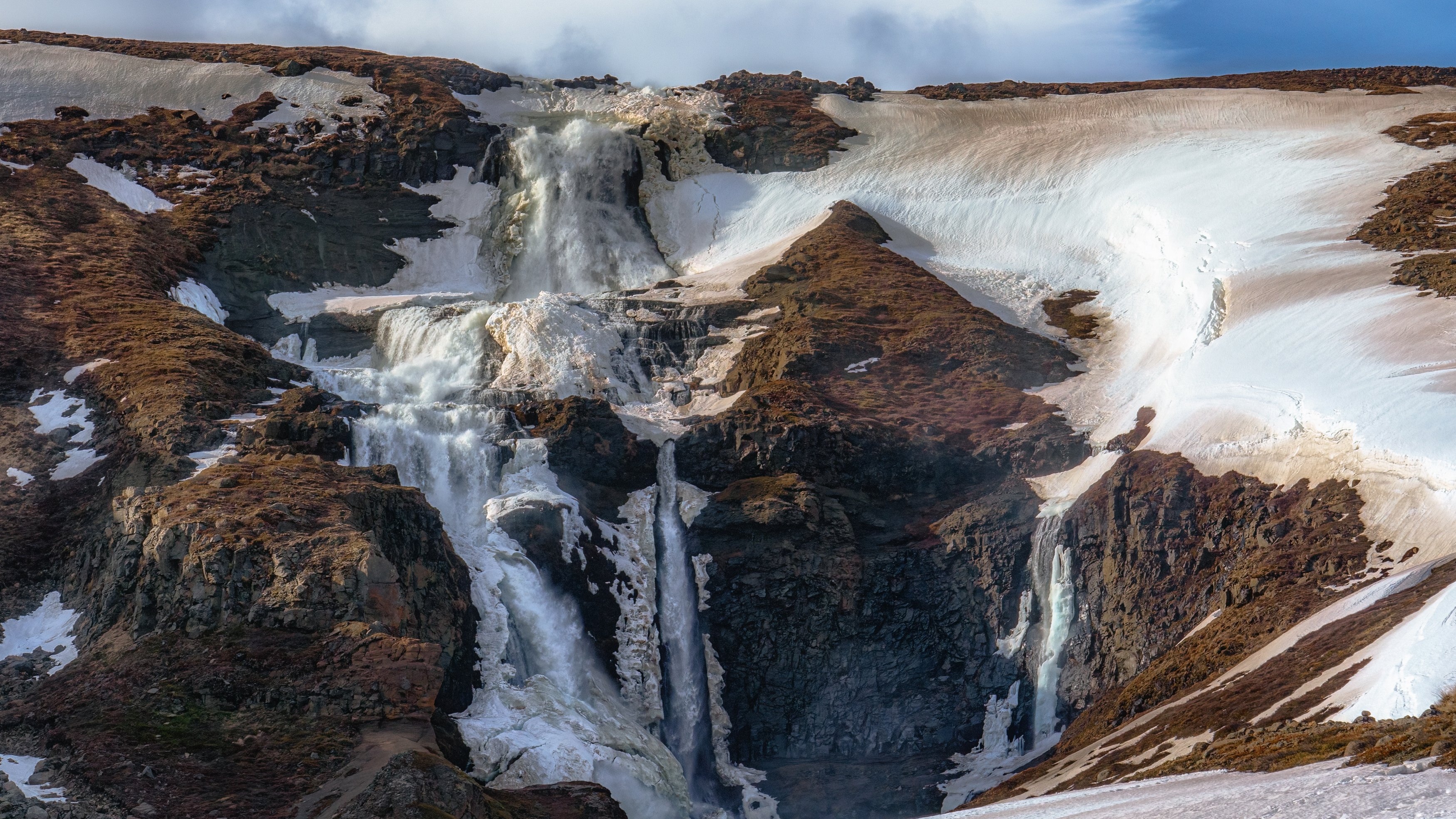 , Шварцман Евгений