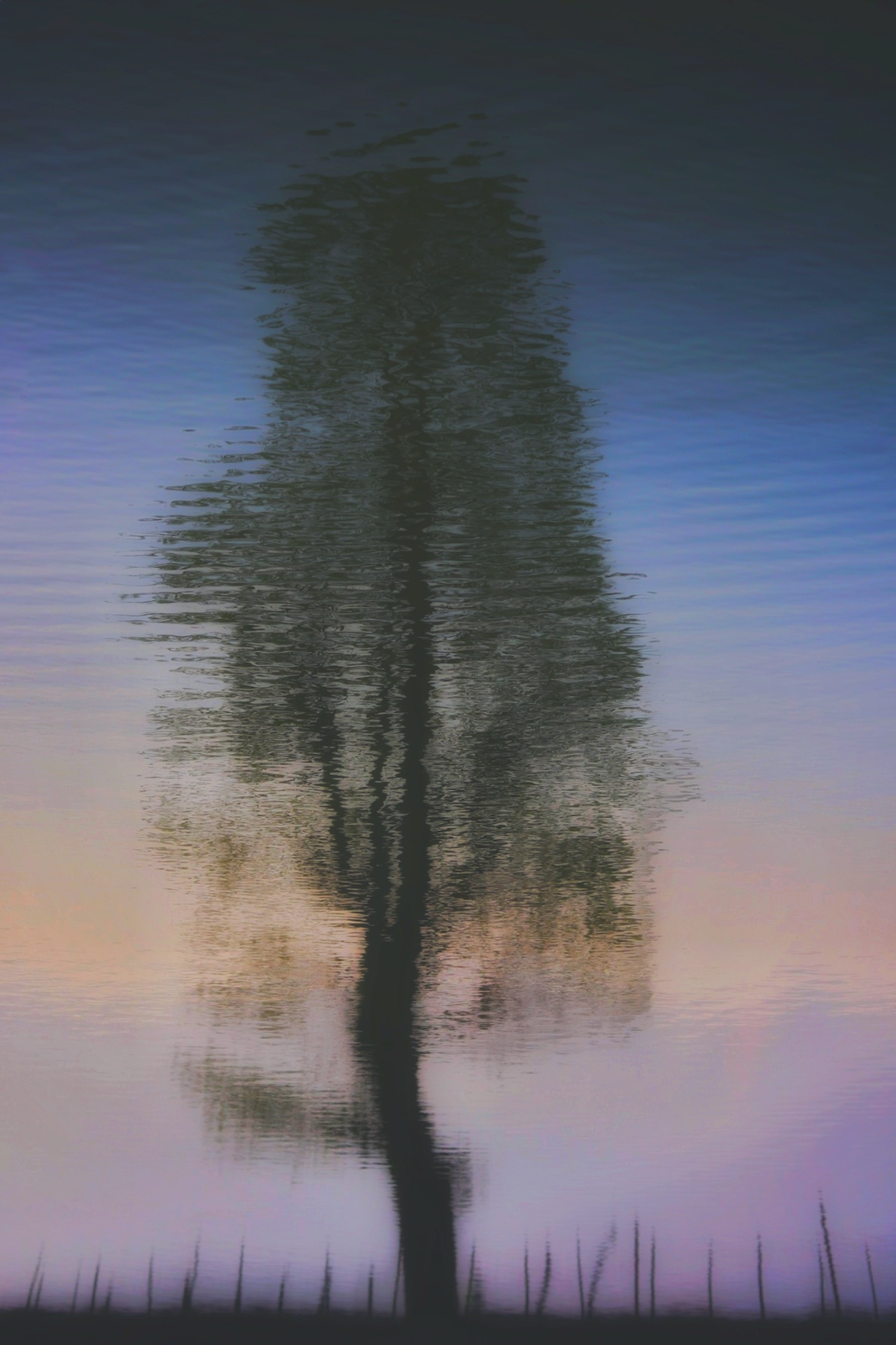 abstract, Seyed Homayoun Hosseini