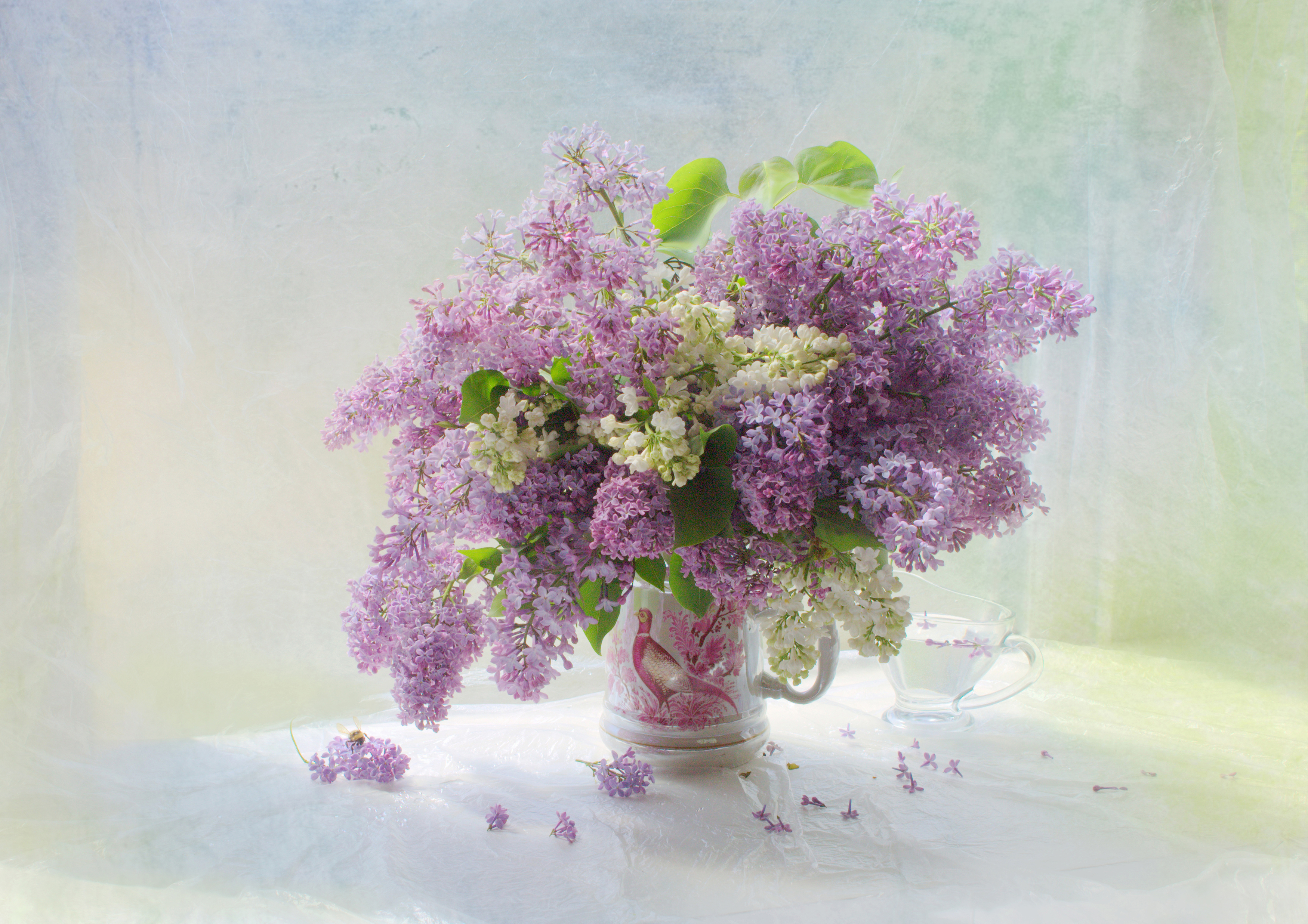 , Хохлова (Ермохина) Наталья