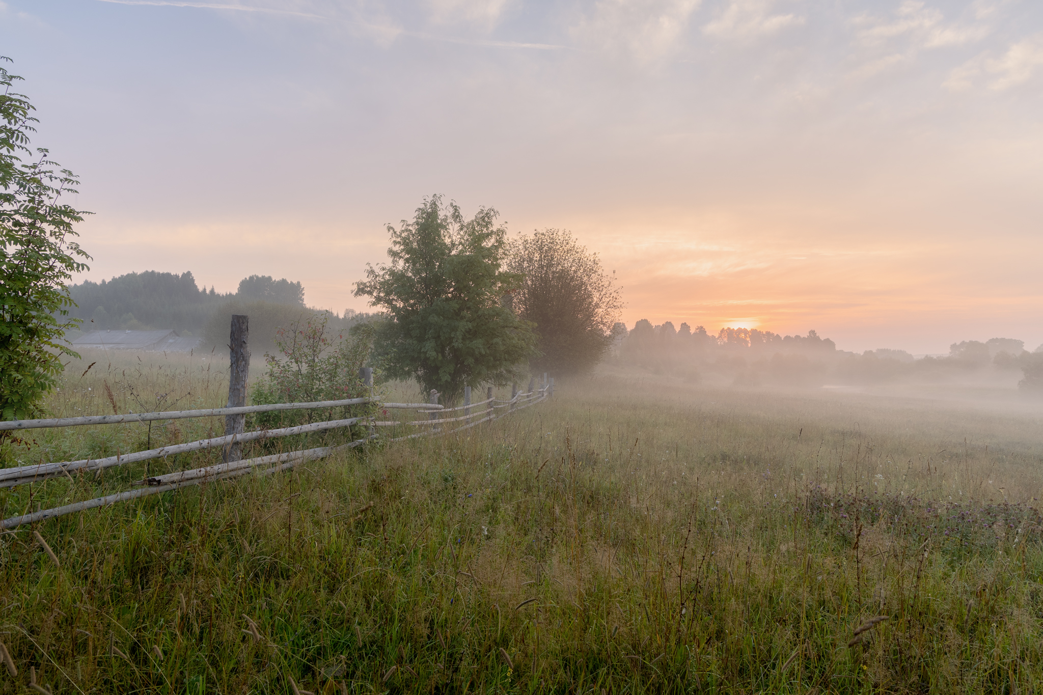 , Загруев Михаил