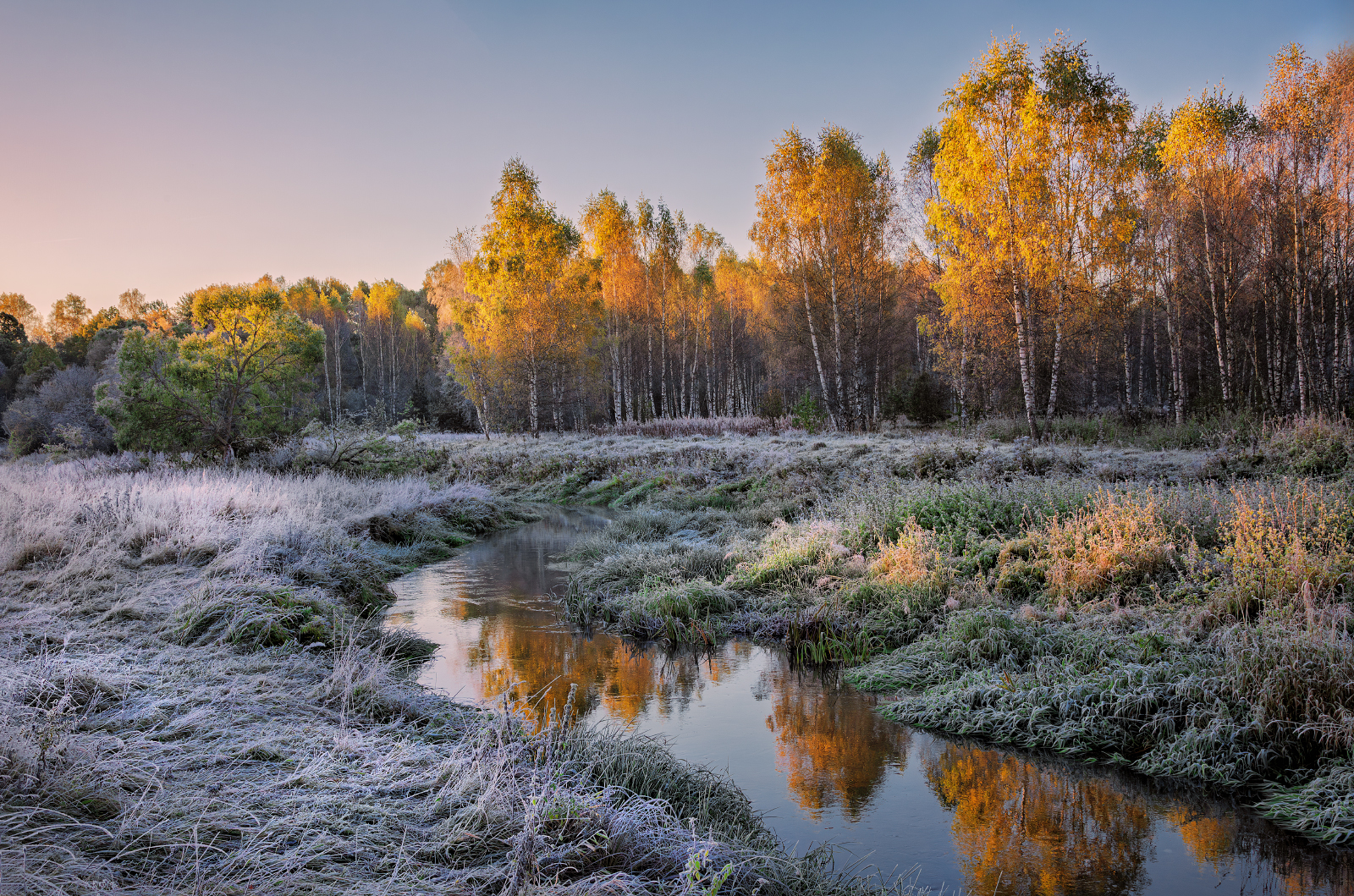 , Евгений Ерохин