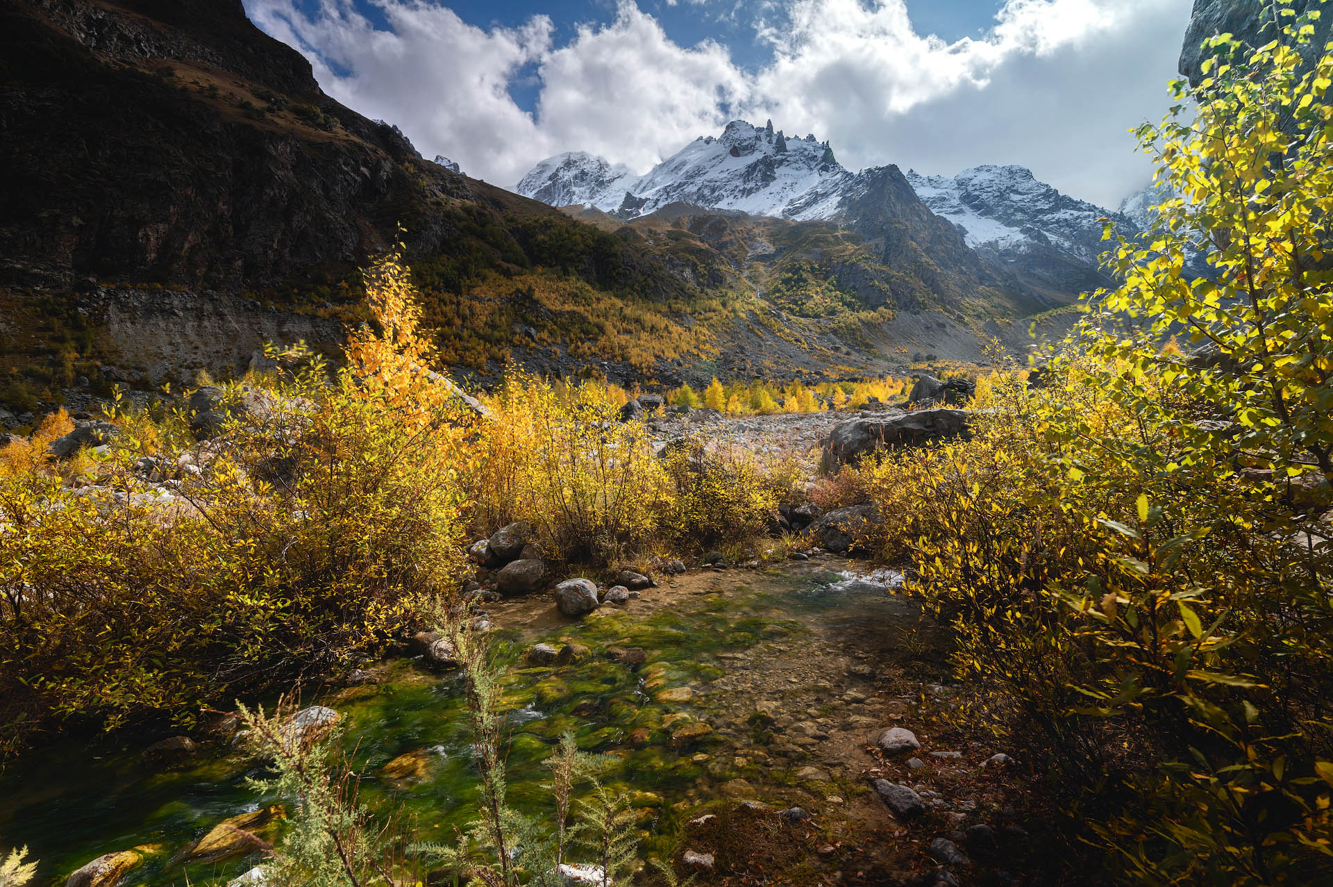 , Шевченко Юрий