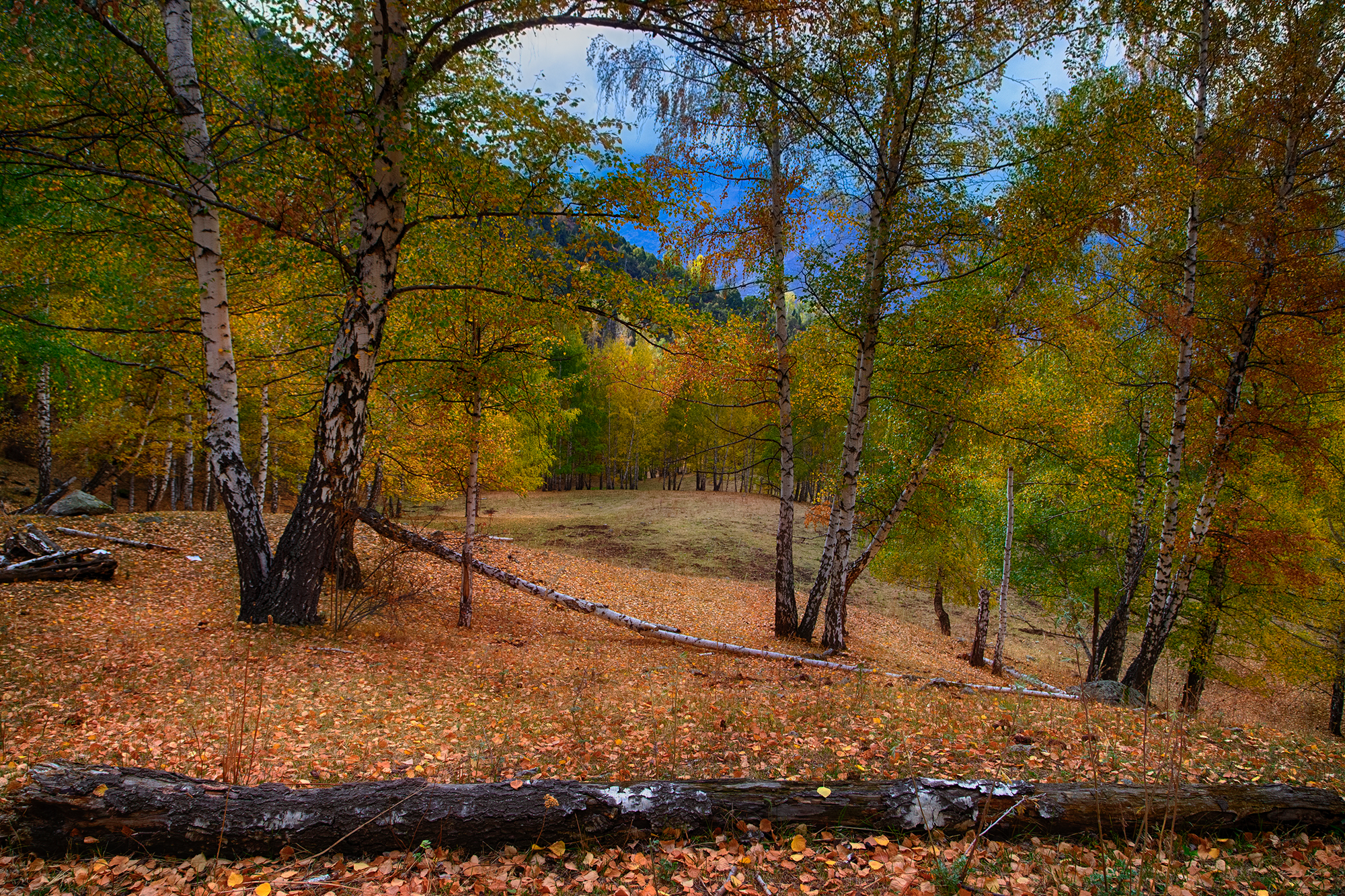 кыргызстан, ала-арча, Элина Магалимова