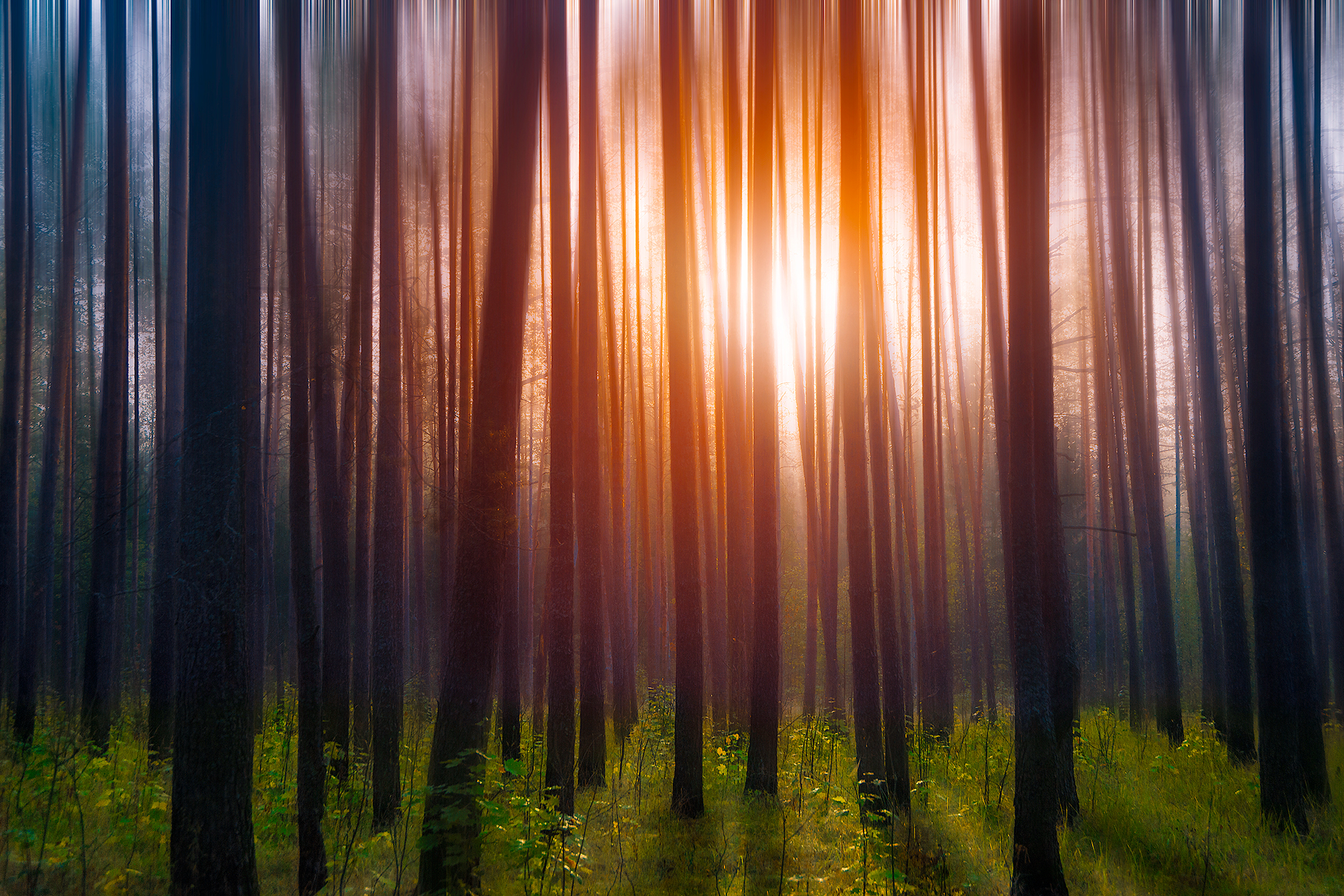 , Владимир Ноздрачев