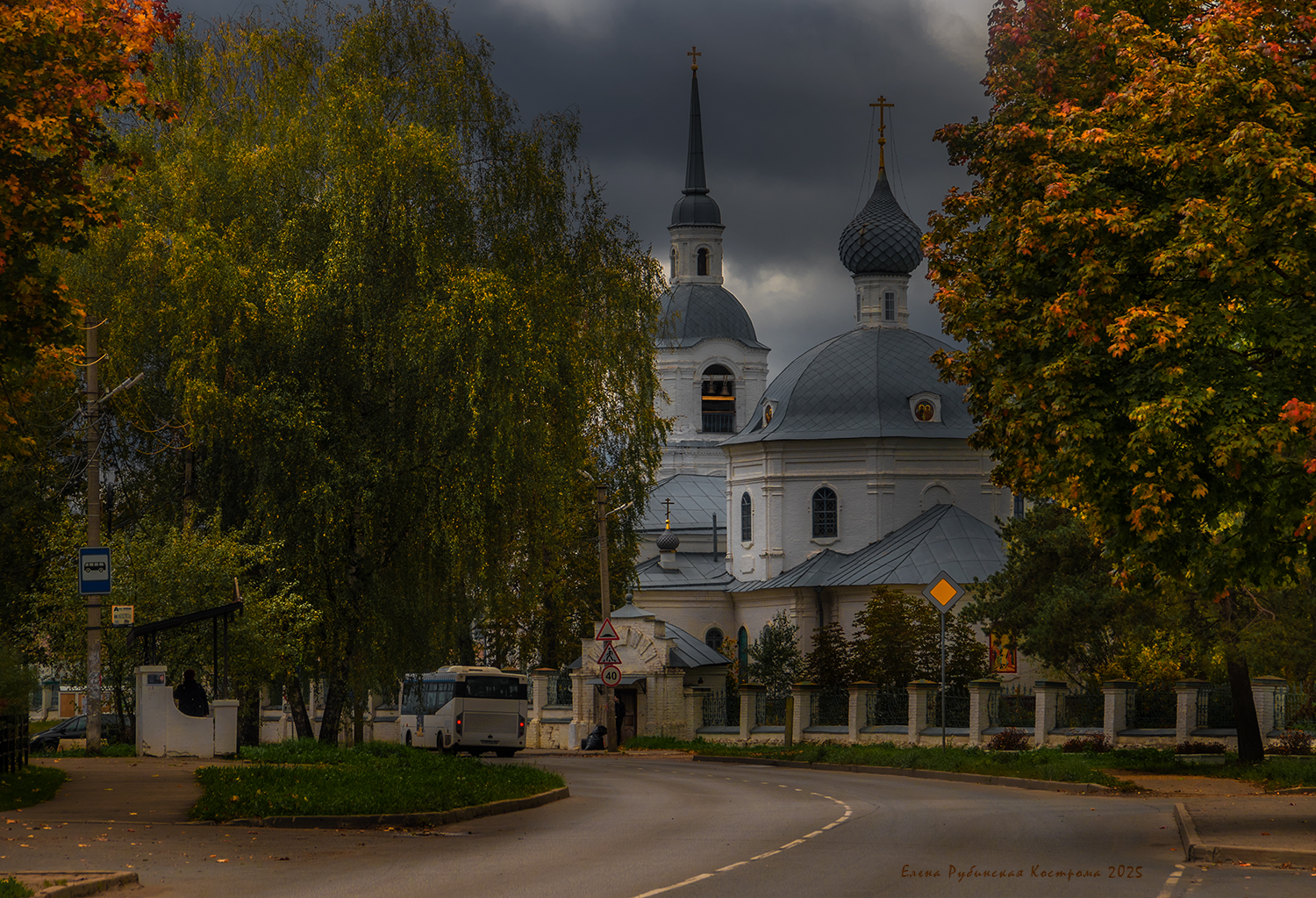 кострома, Елена Рубинская