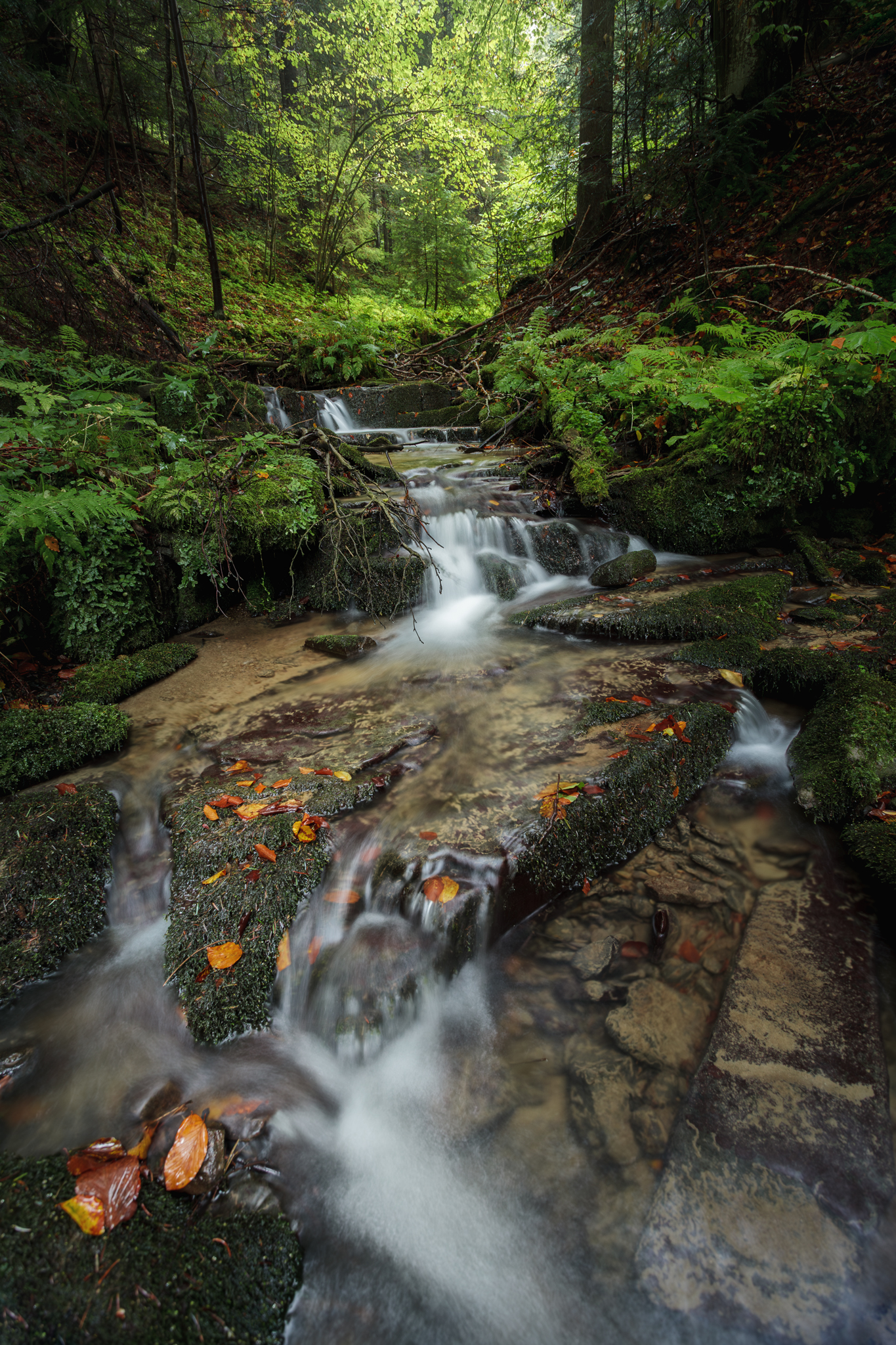 ,  Mirosław Pruchnicki