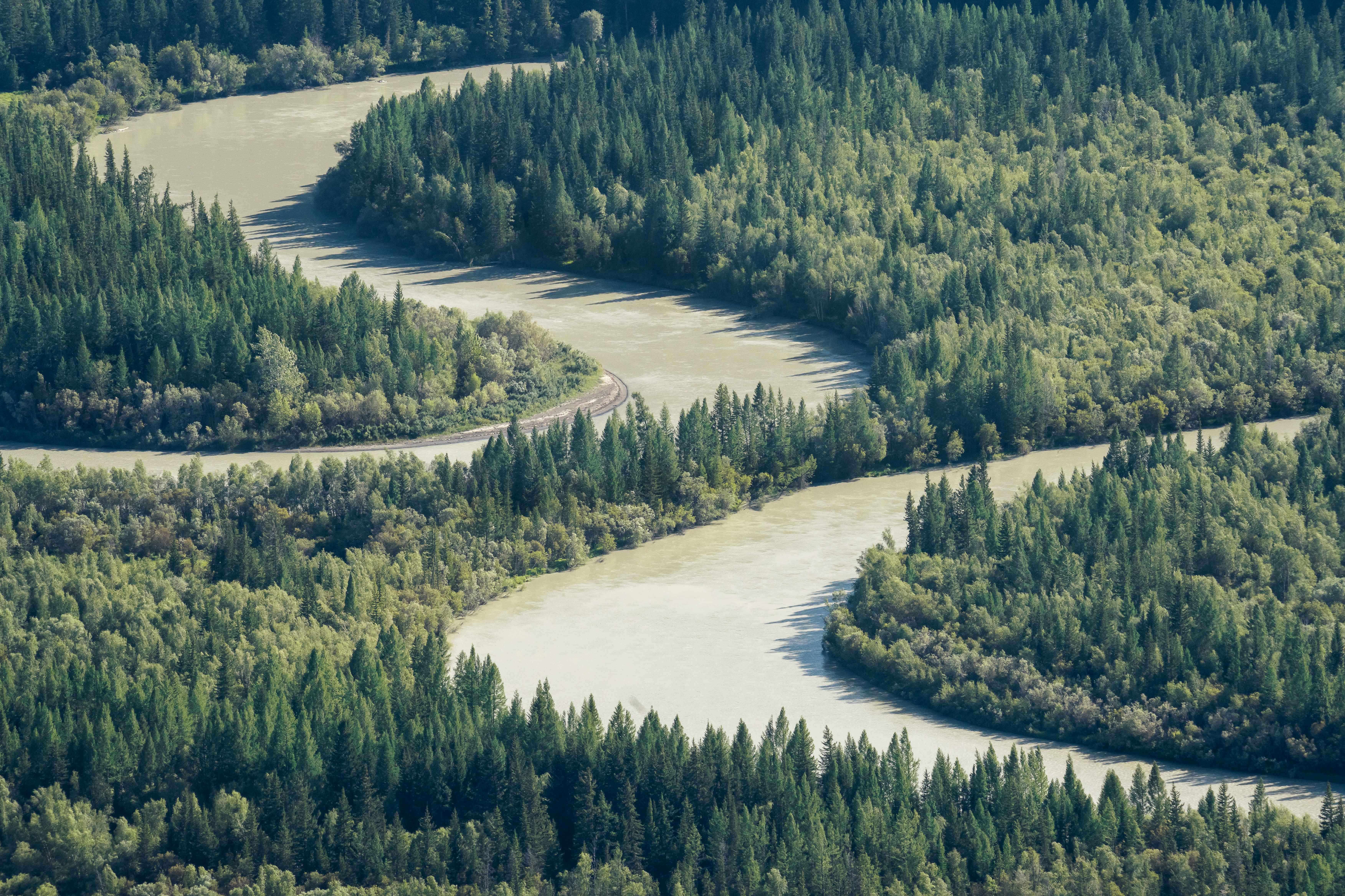 , Важенин Евгений
