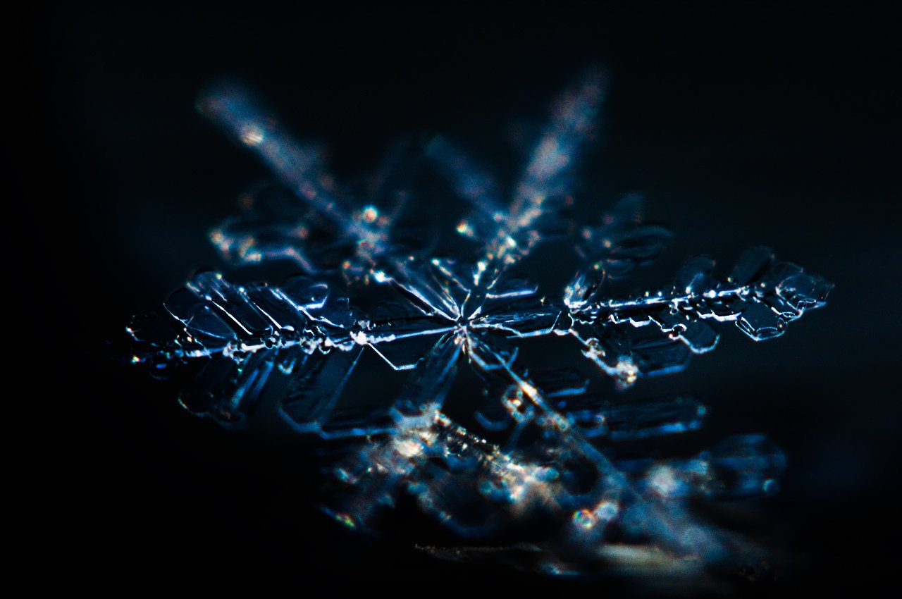 макро, снег, снежинка, зима, мороз, macro, snow, snowflake, Дмитрий