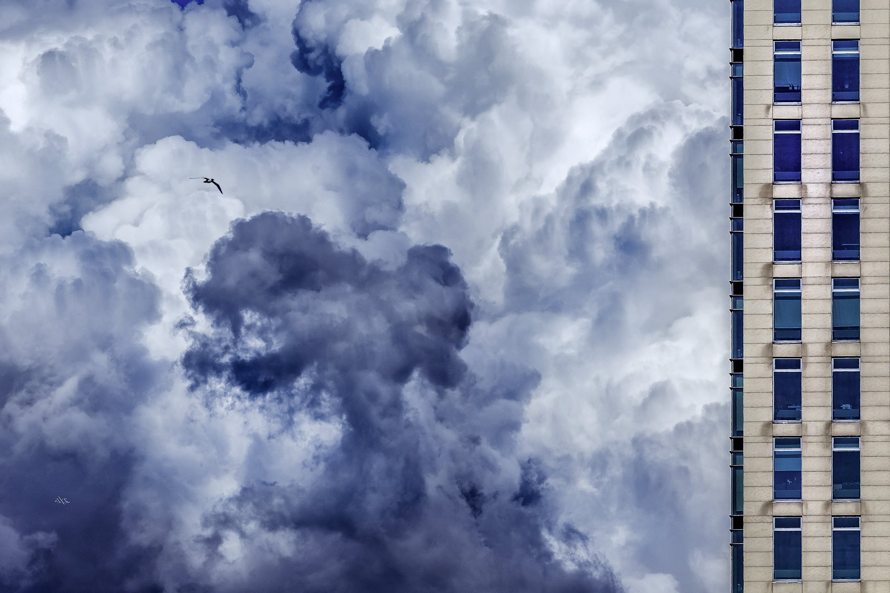 Bird, Building, Clouds, Klaipeda, Lithuania, Sky, Руслан Болгов (Axe)
