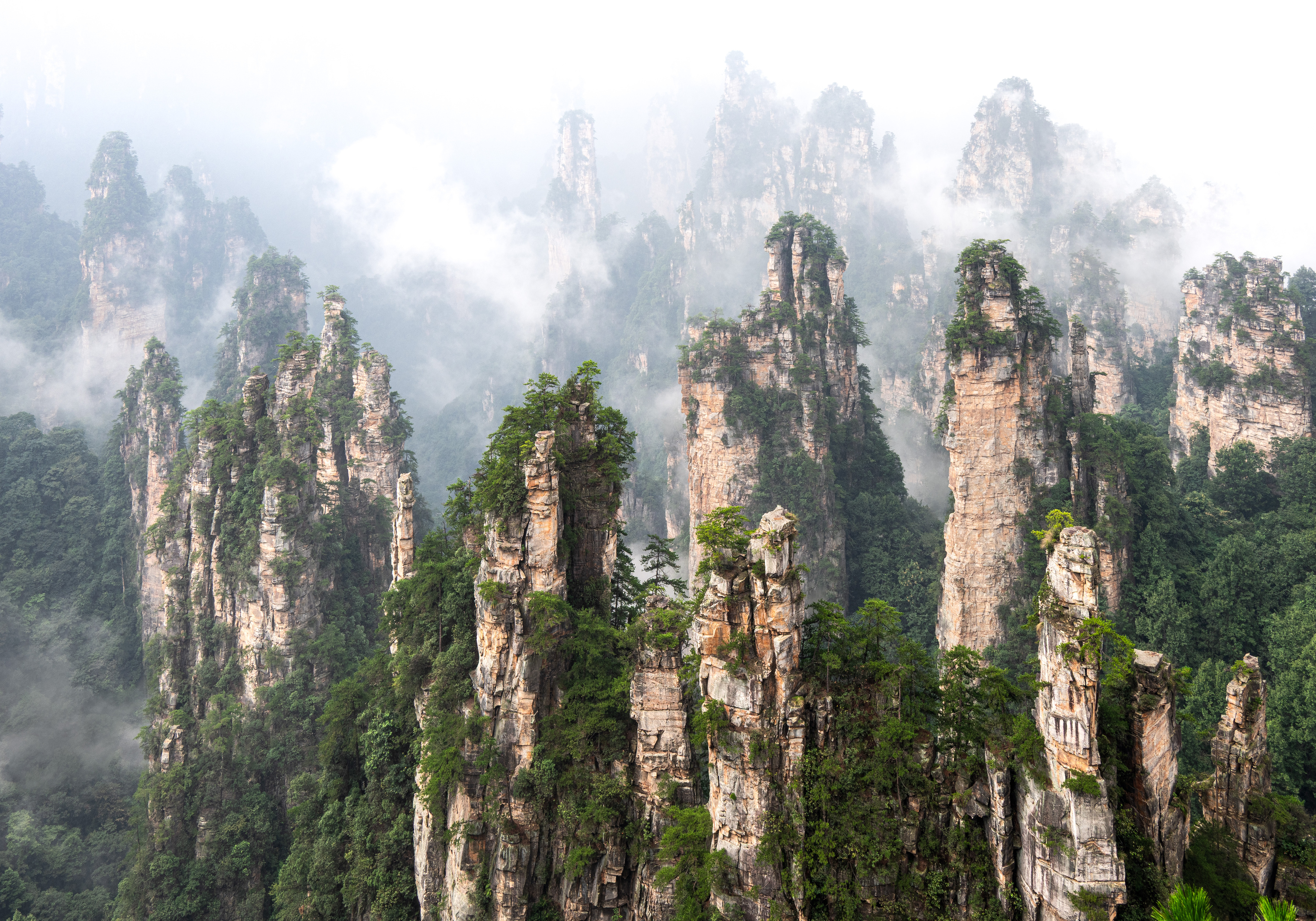 Китай, Сулоев Алексей