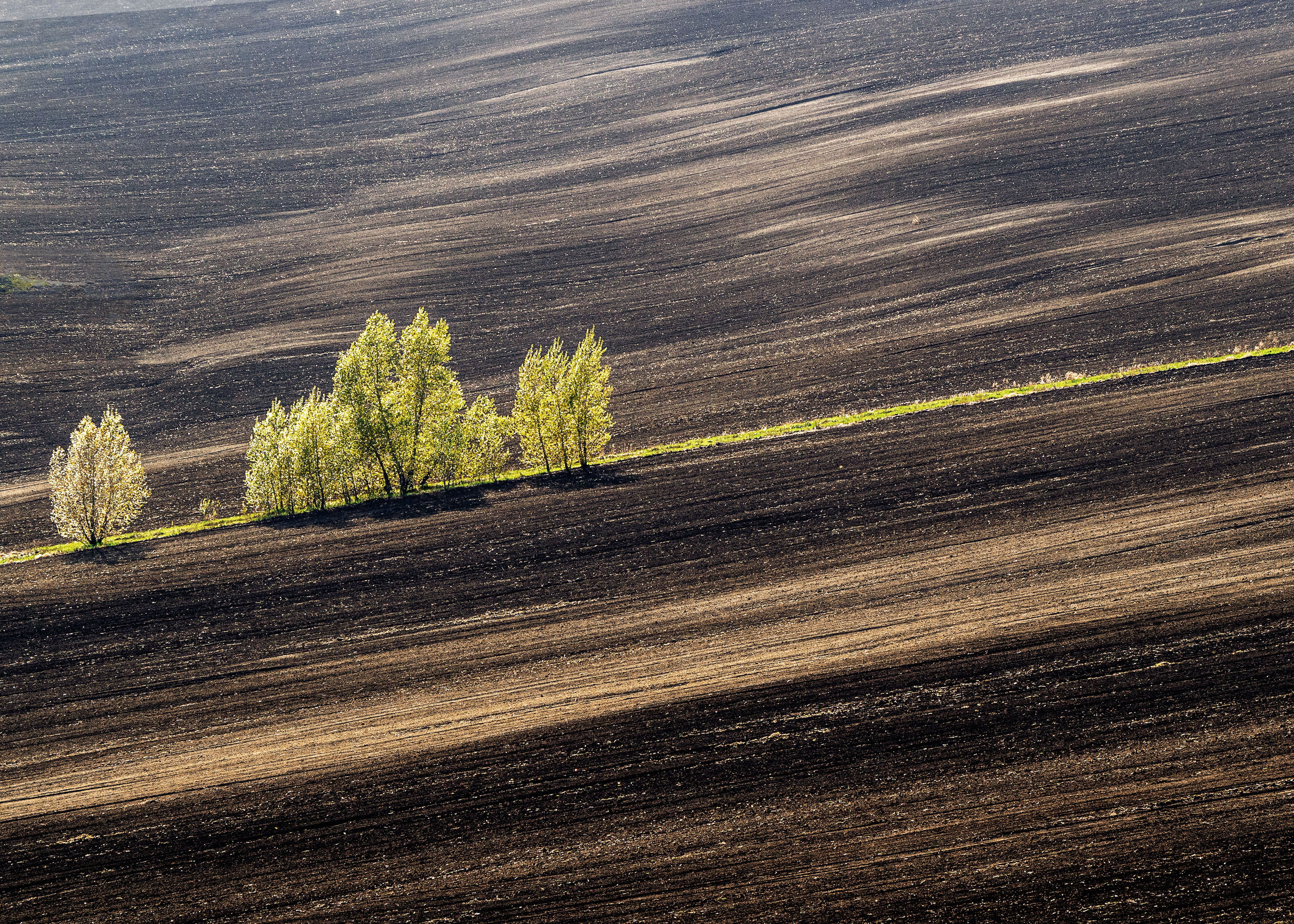 , Андрей Хаймин