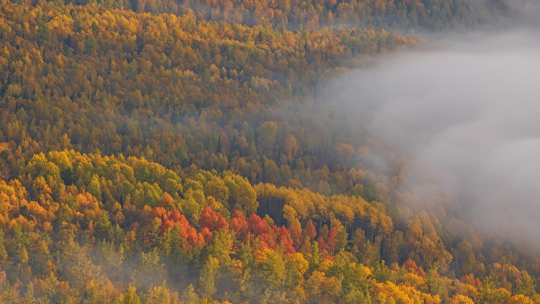 кутурчинское, белогорье, горы, саяны, утро, лес, осень, туман, Мальцев Юрий