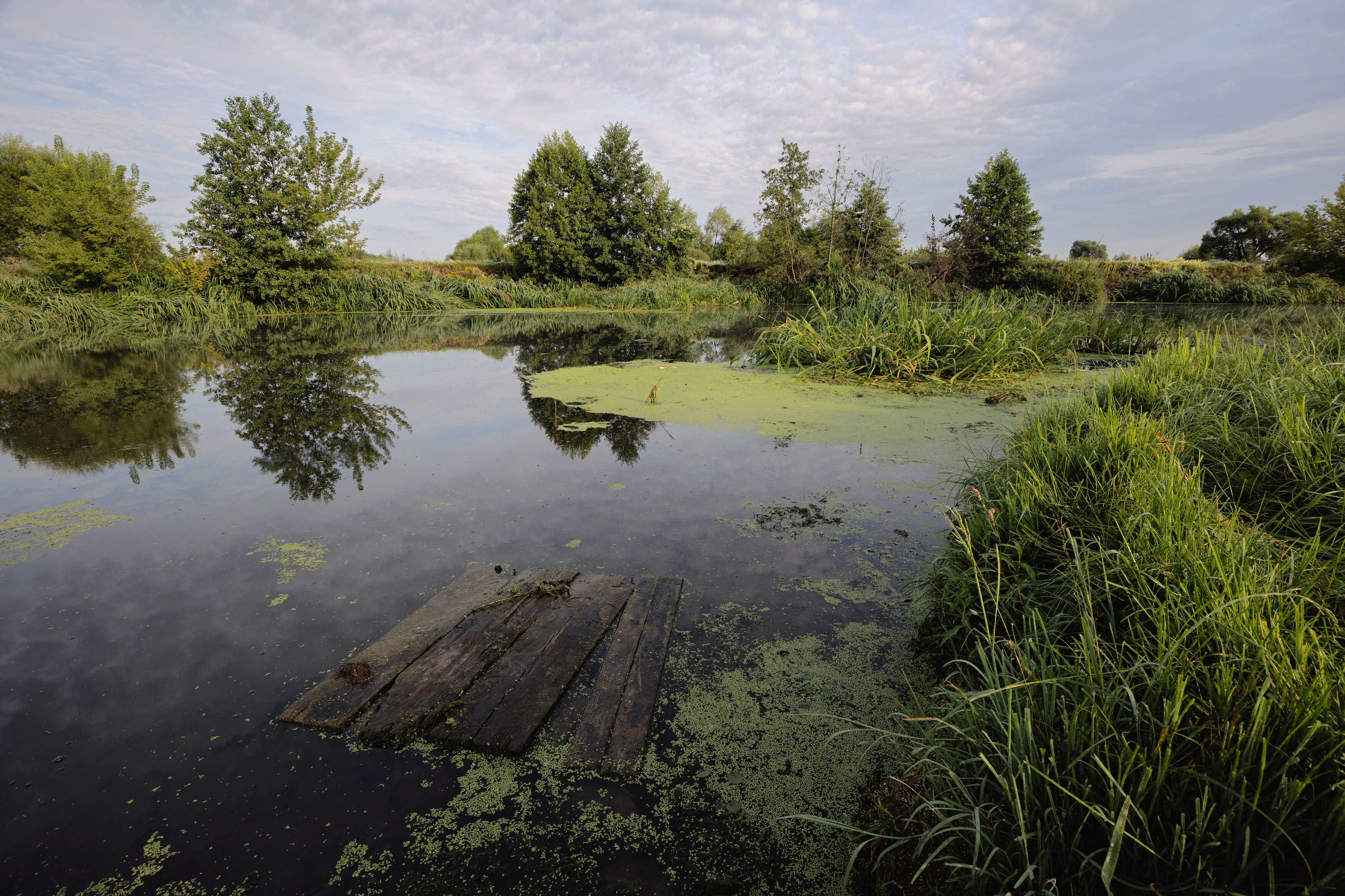 , Александр Бредихин