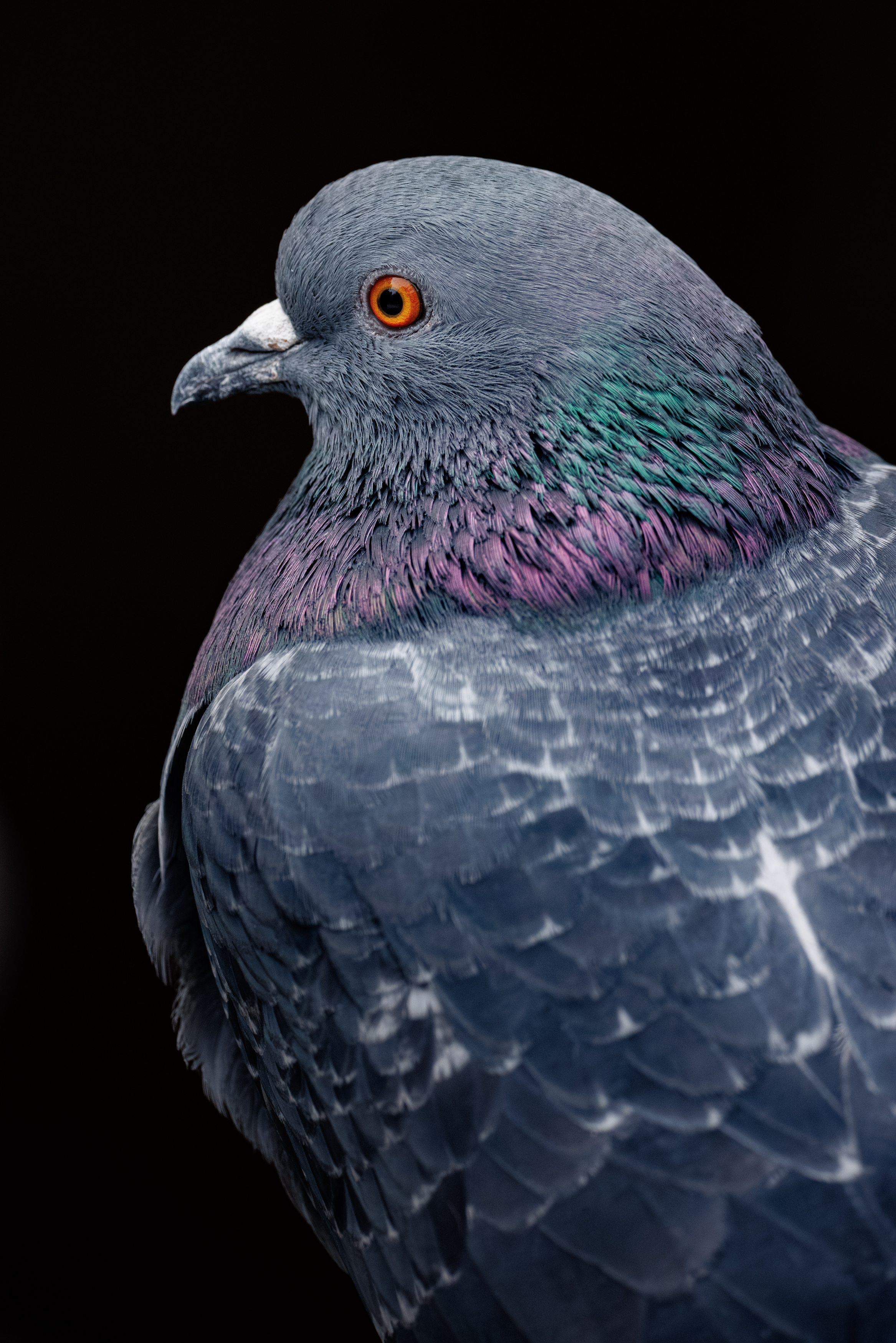 , ssmirs Сергей